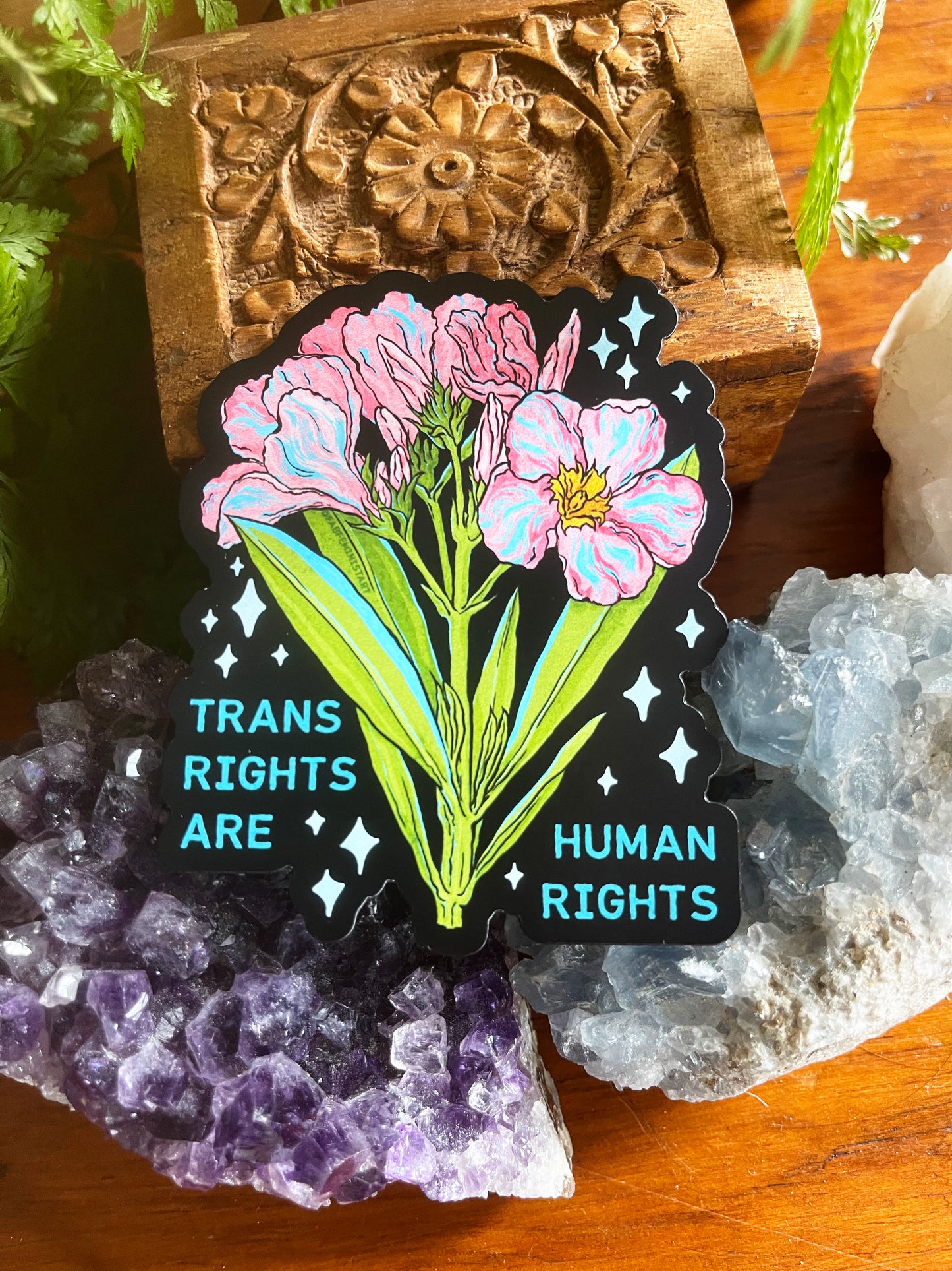 Trans Rights Are Human Rights