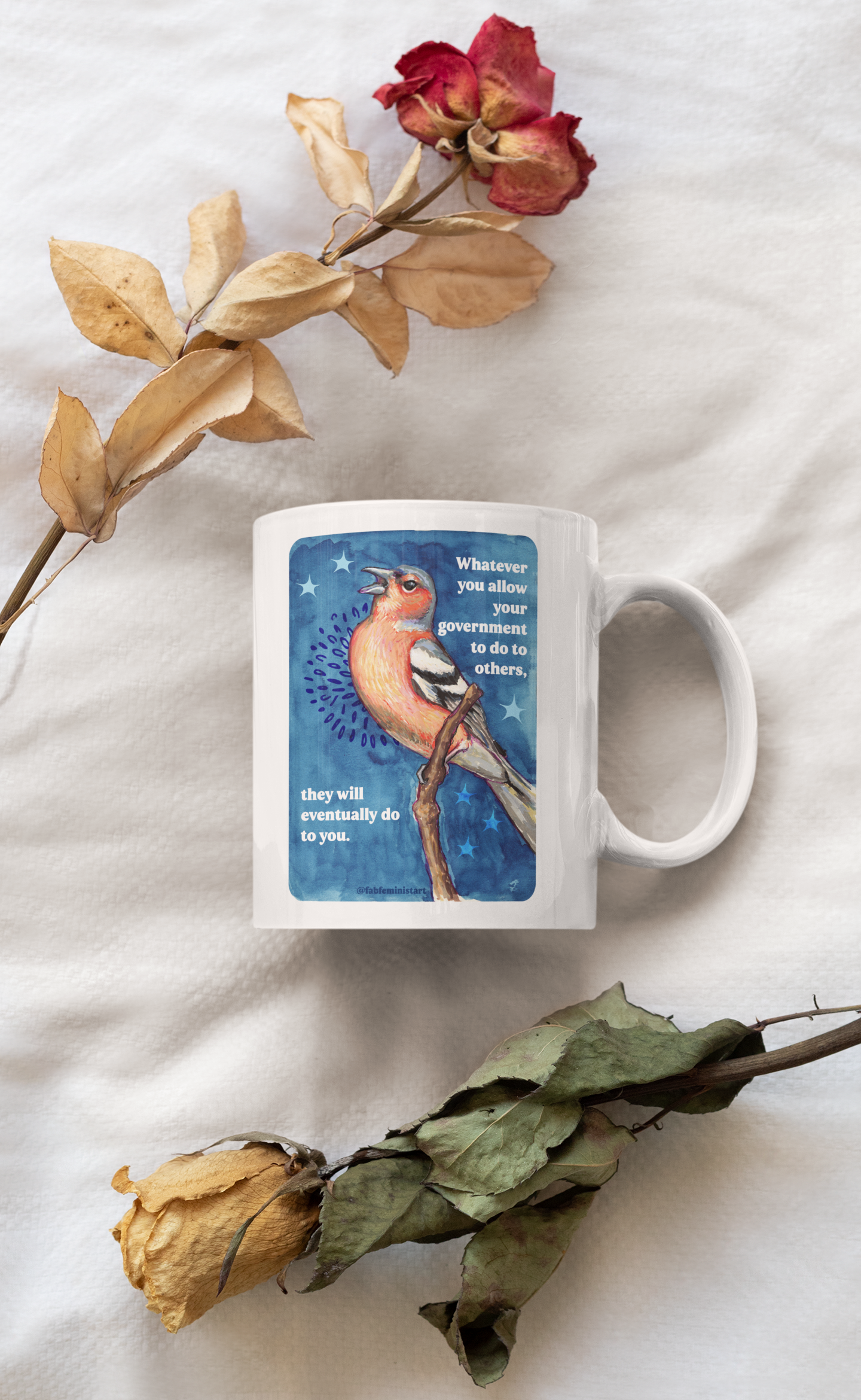 Whatever you allow your government to do to others, they will eventually do to you: Feminist Mug