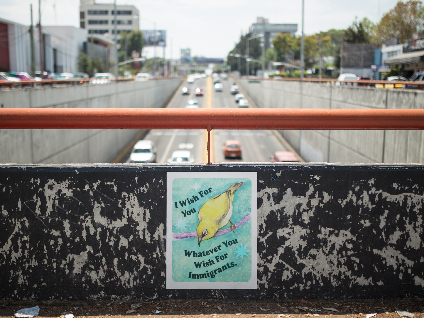 I Wish For You Whatever You Wish For Immigrants: Feminist Art Print