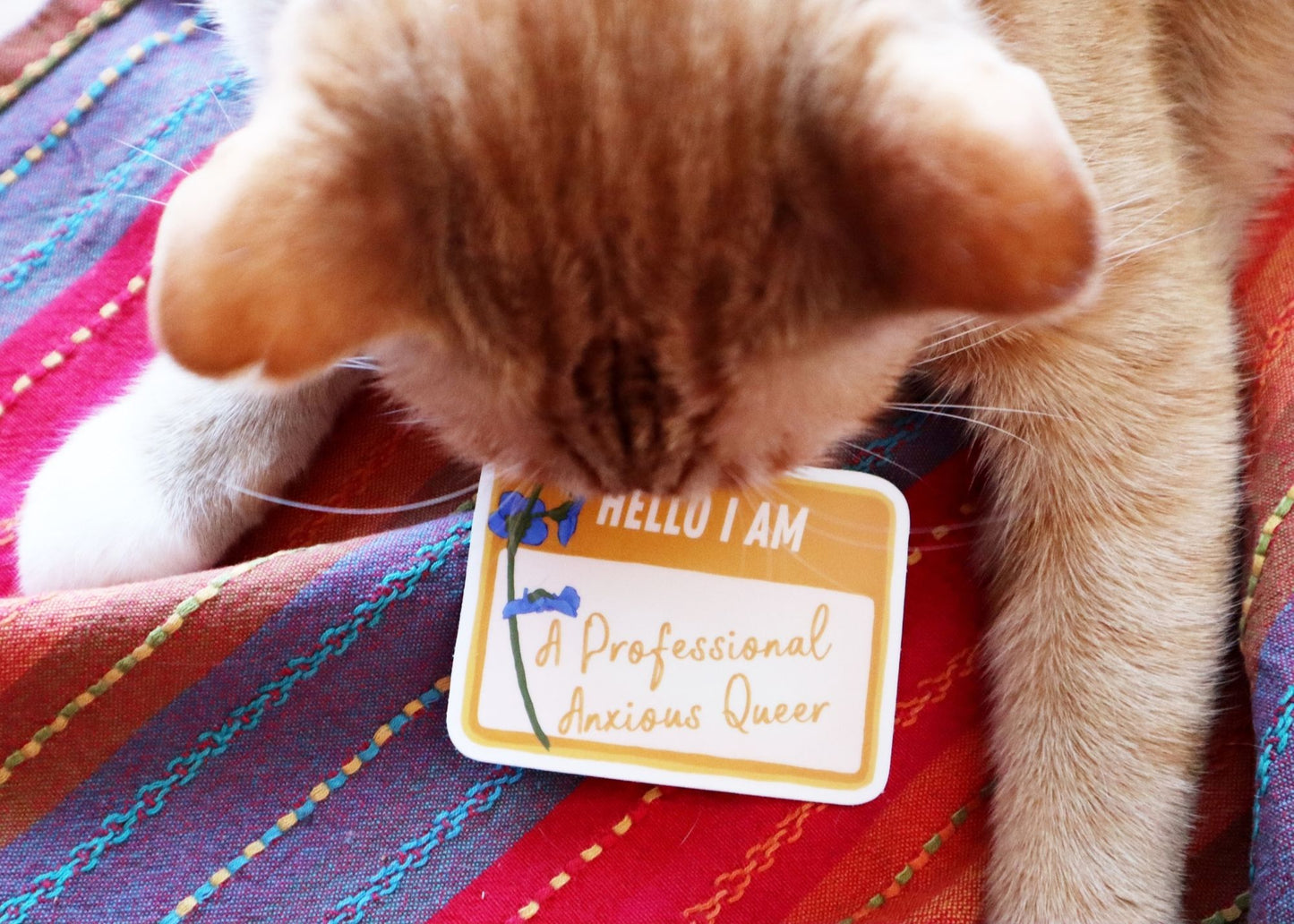 Hello I Am A Professional Anxious Queer: Feminist Laptop Sticker