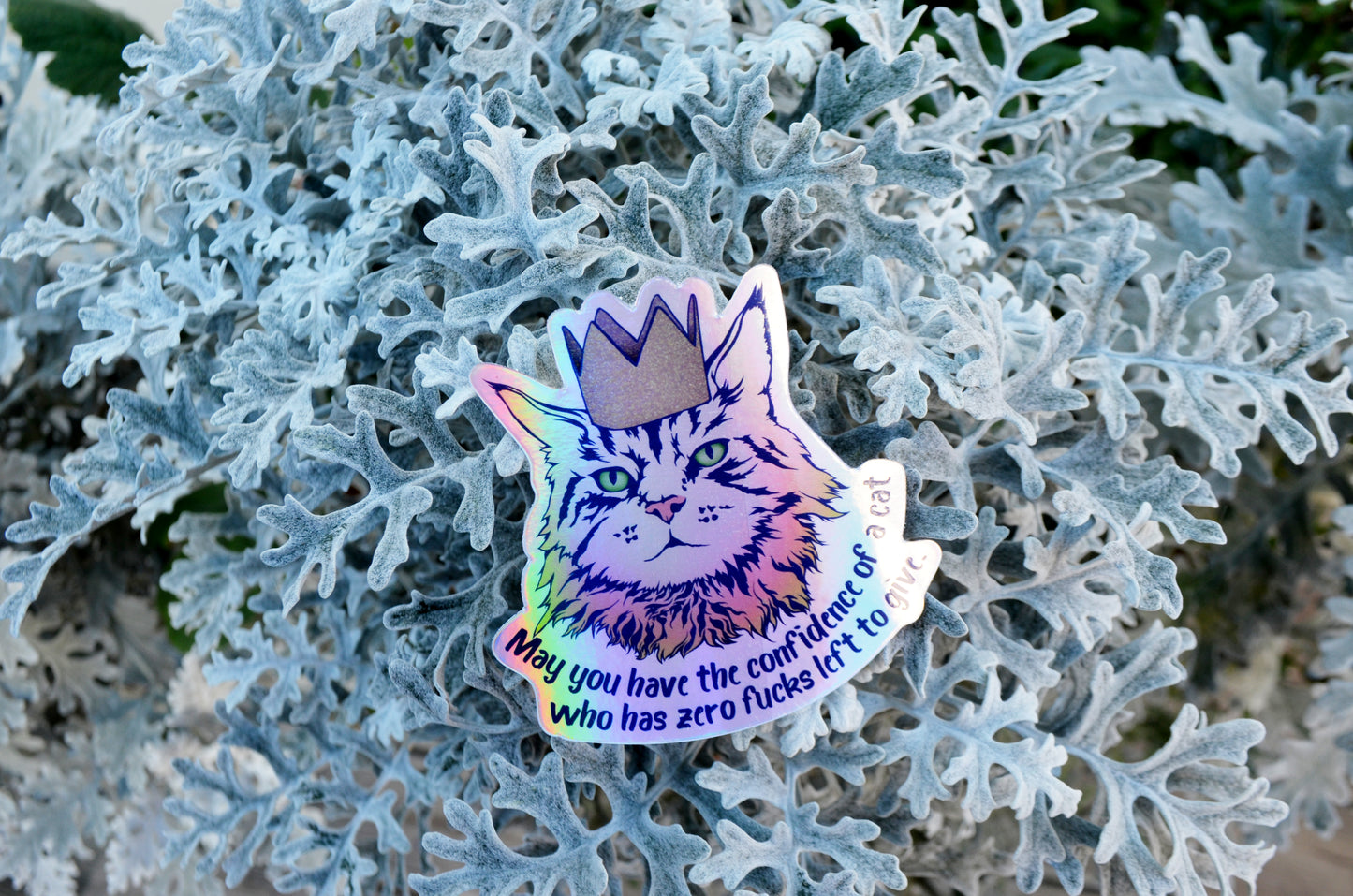 May You Have The Confidence Of A Cat Who Has Zero Fucks Left To Give: Feminist Laptop Sticker
