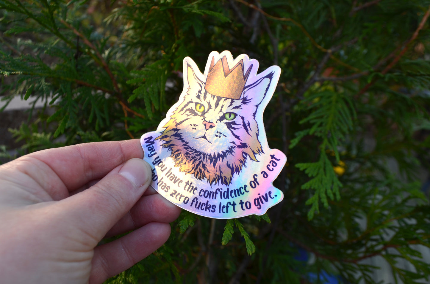 May You Have The Confidence Of A Cat Who Has Zero Fucks Left To Give: Feminist Laptop Sticker