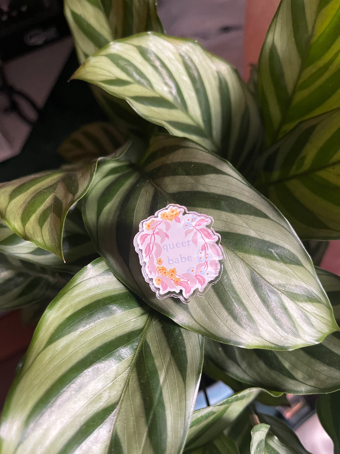 Queer Babe: Acrylic Pride Pin