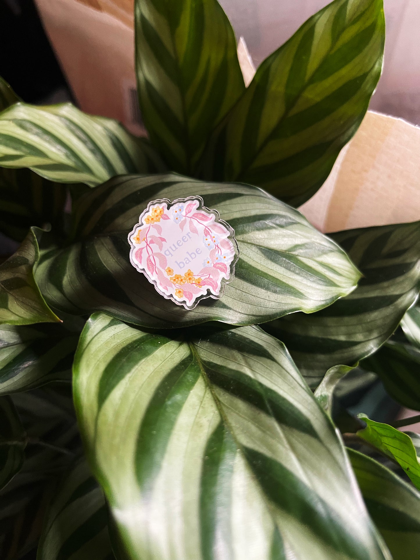 Queer Babe: Acrylic Pride Pin
