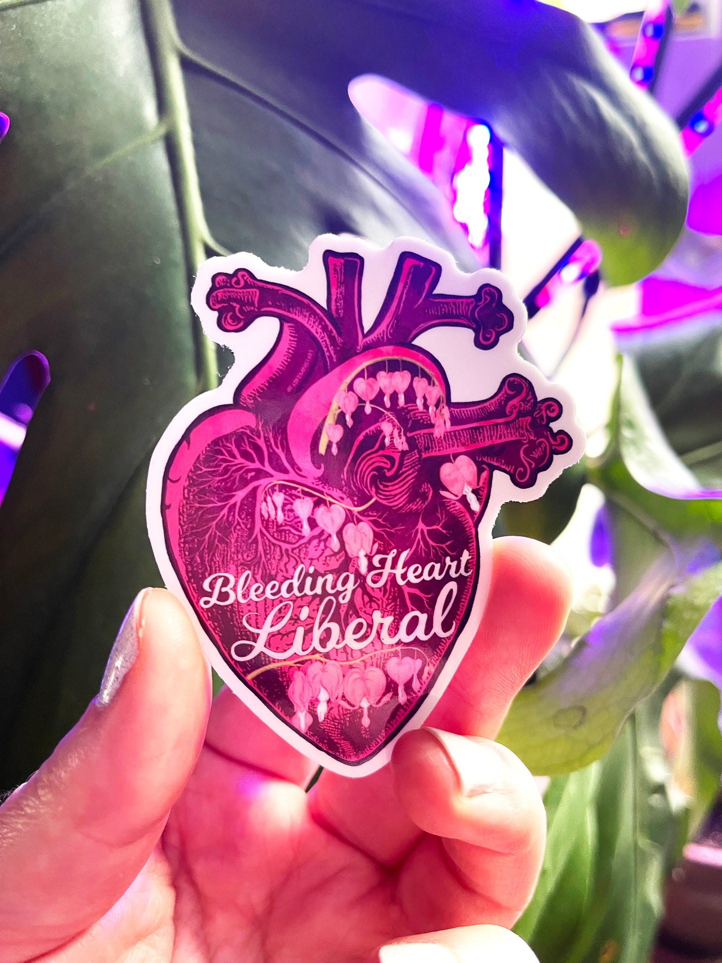 Bleeding Heart Liberal: Feminist Sticker