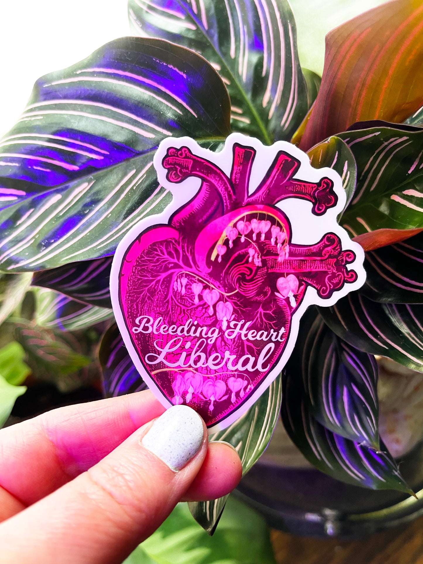 Bleeding Heart Liberal: Feminist Sticker
