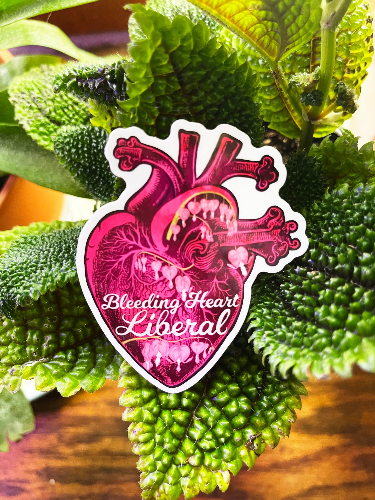 Bleeding Heart Liberal: Feminist Sticker