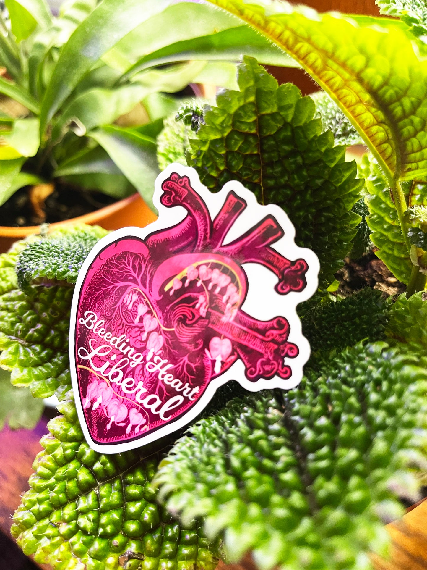 Bleeding Heart Liberal: Feminist Sticker