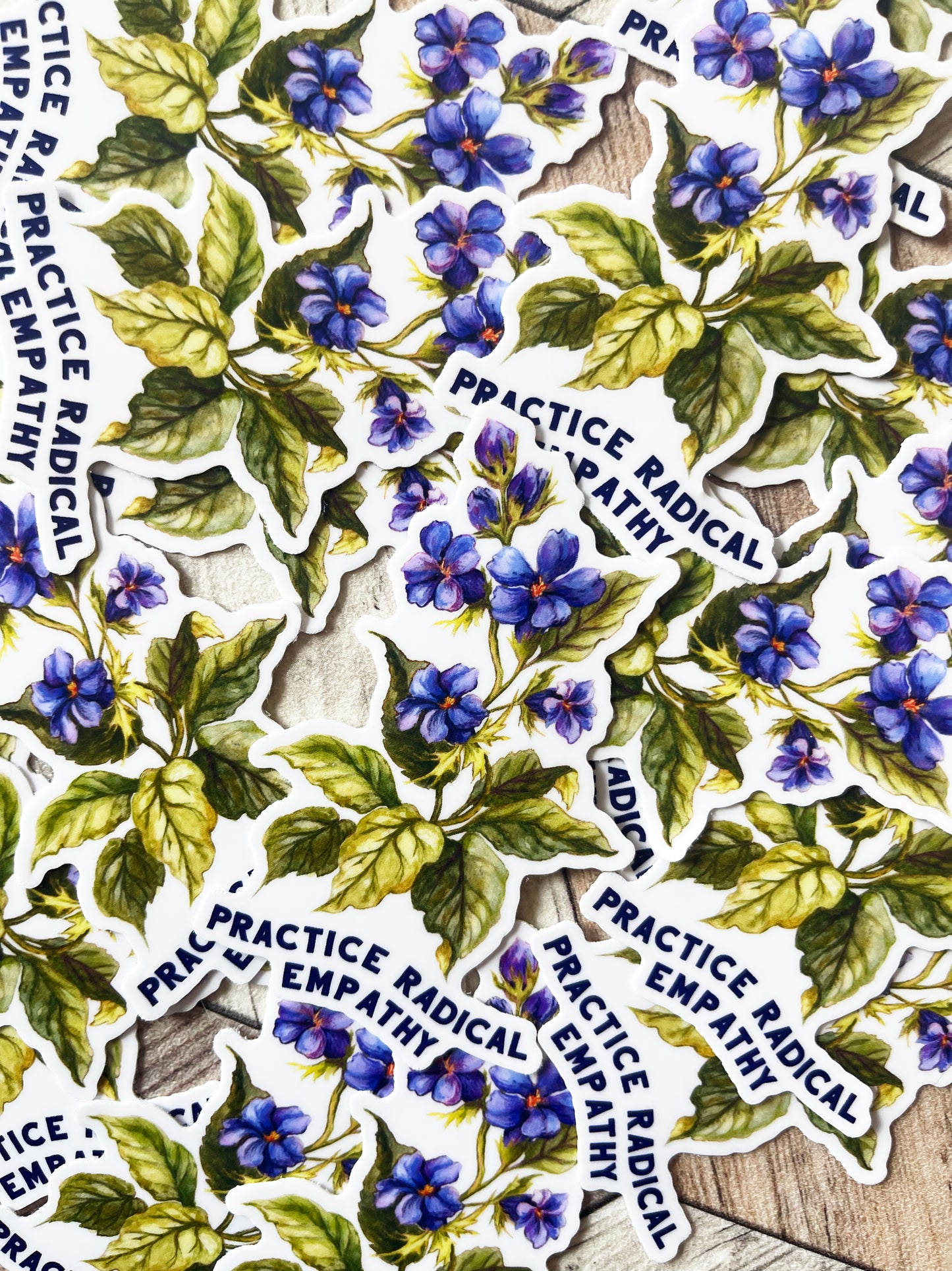 Practice Radical Empathy: Feminist Sticker
