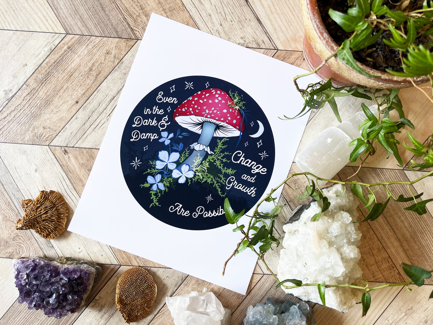 Even In The Dark And Damp Change And Growth Are Possible: Self Care Print