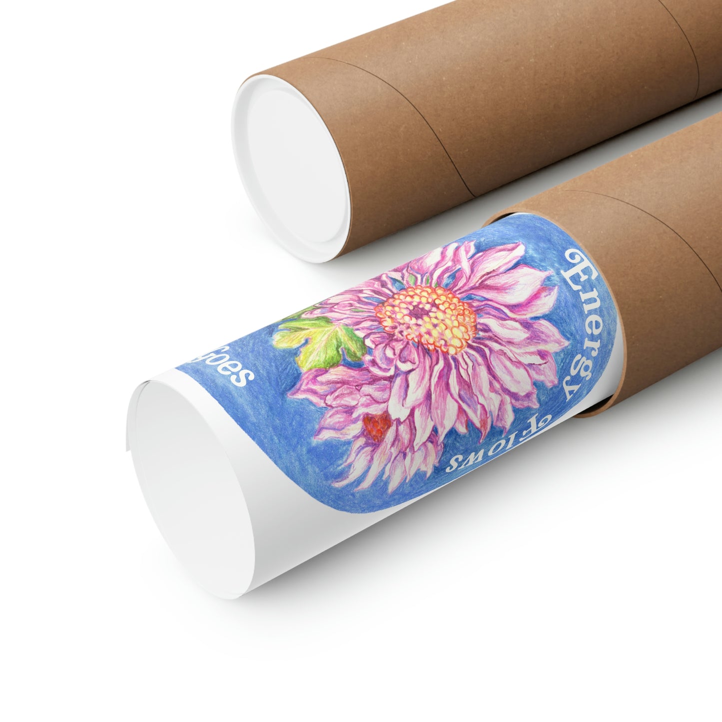 Energy Flows Where Intention Goes: Mental Health Print