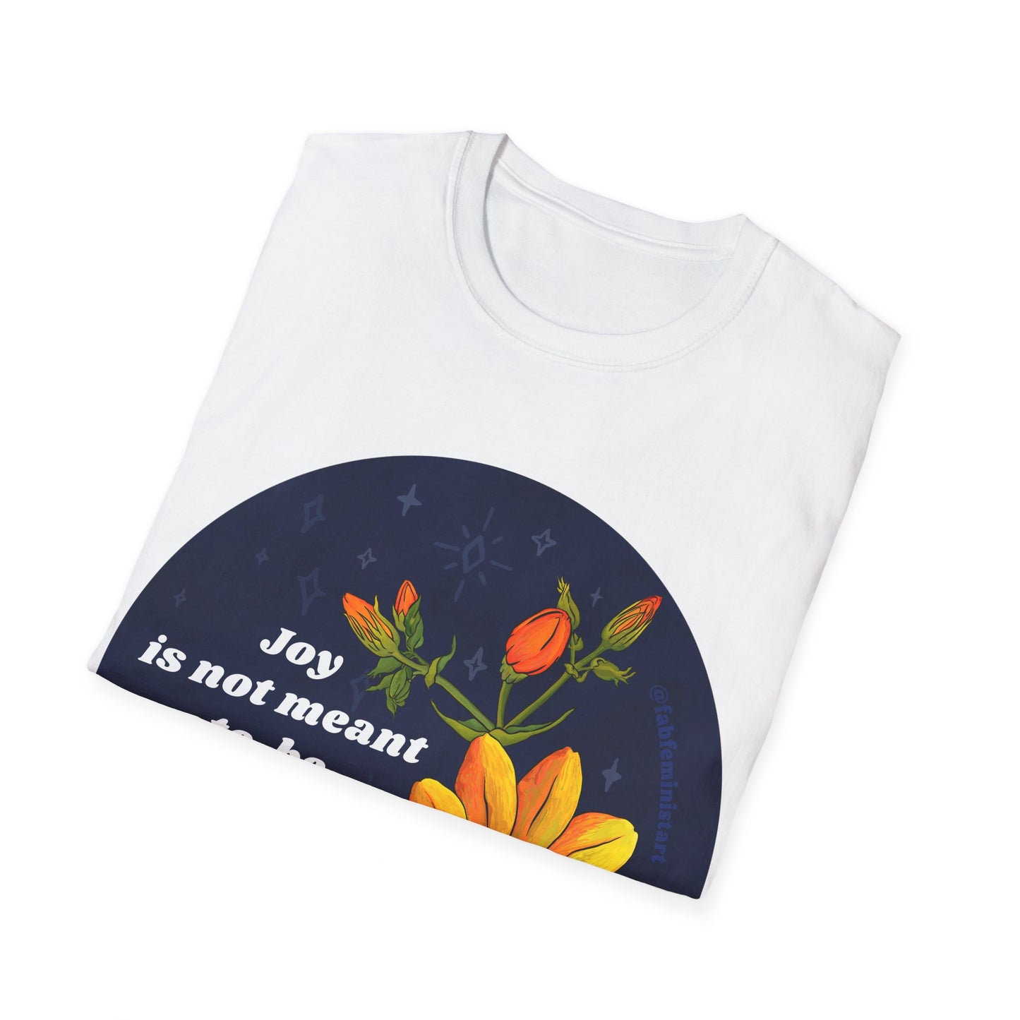 Joy is not meant to be a crumb, Mary Oliver: Feminist Shirt