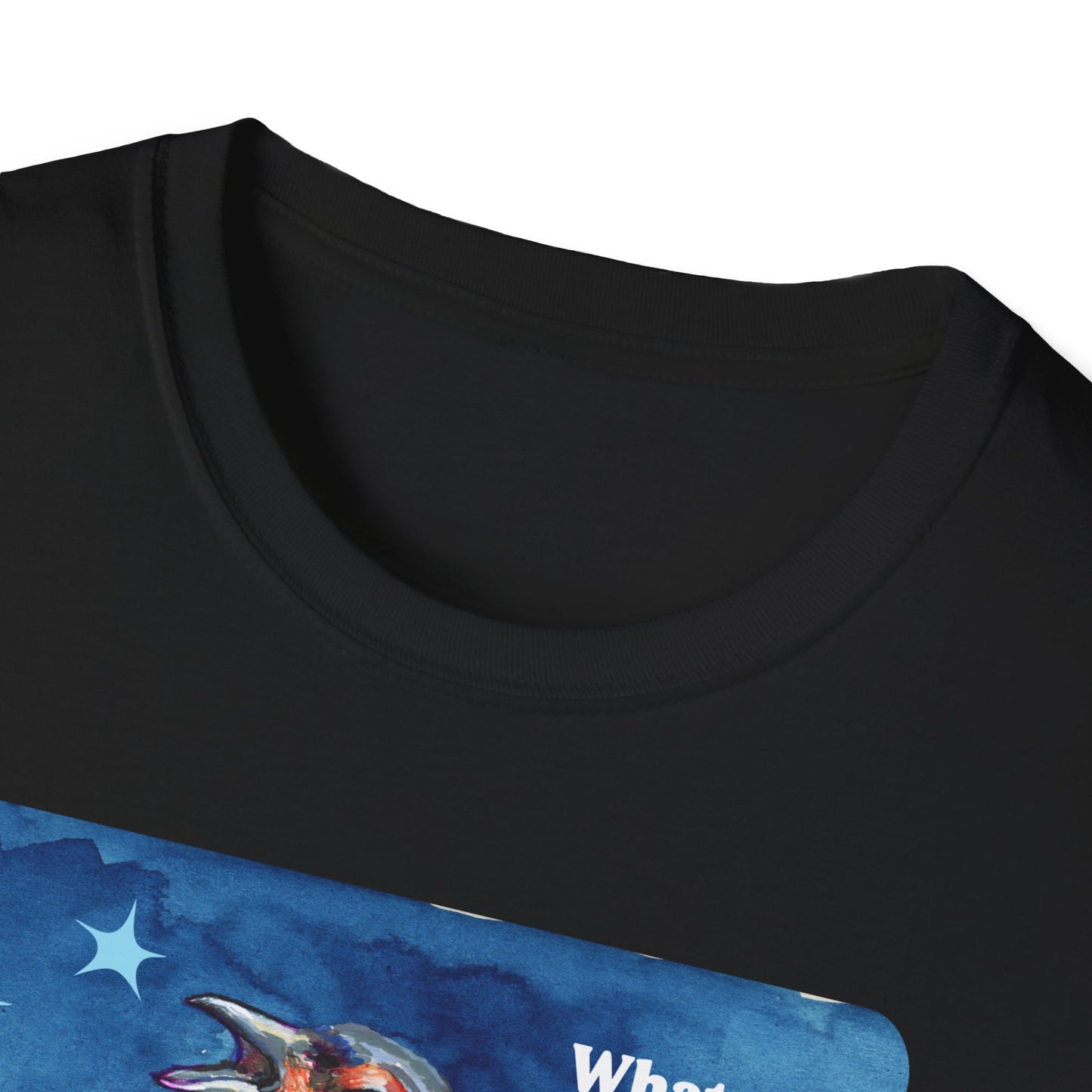 Whatever you allow your government to do to others, they will eventually do to you: feminist shirt