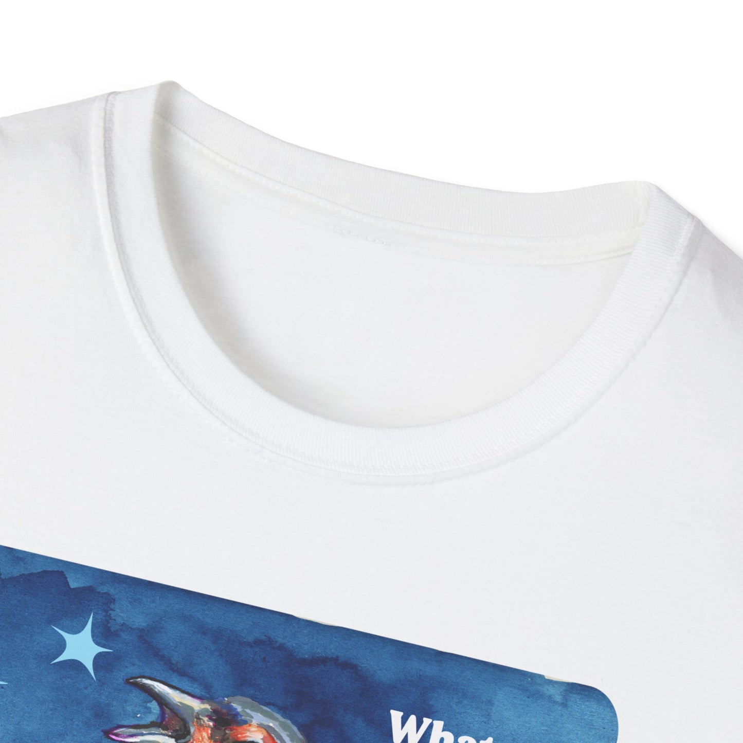 Whatever you allow your government to do to others, they will eventually do to you: feminist shirt