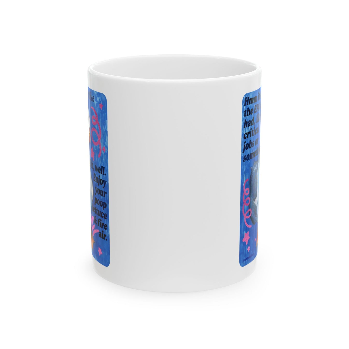 Hmm it's almost like the EPA & FDA had, like, critical jobs or something: feminist mug