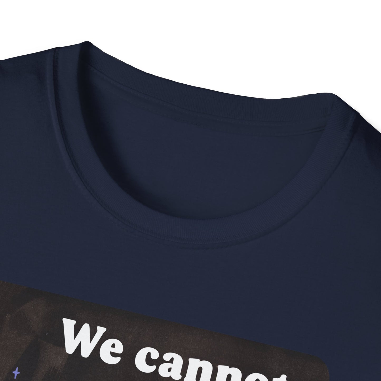 We cannot comply our way out of fascism: feminist shirt