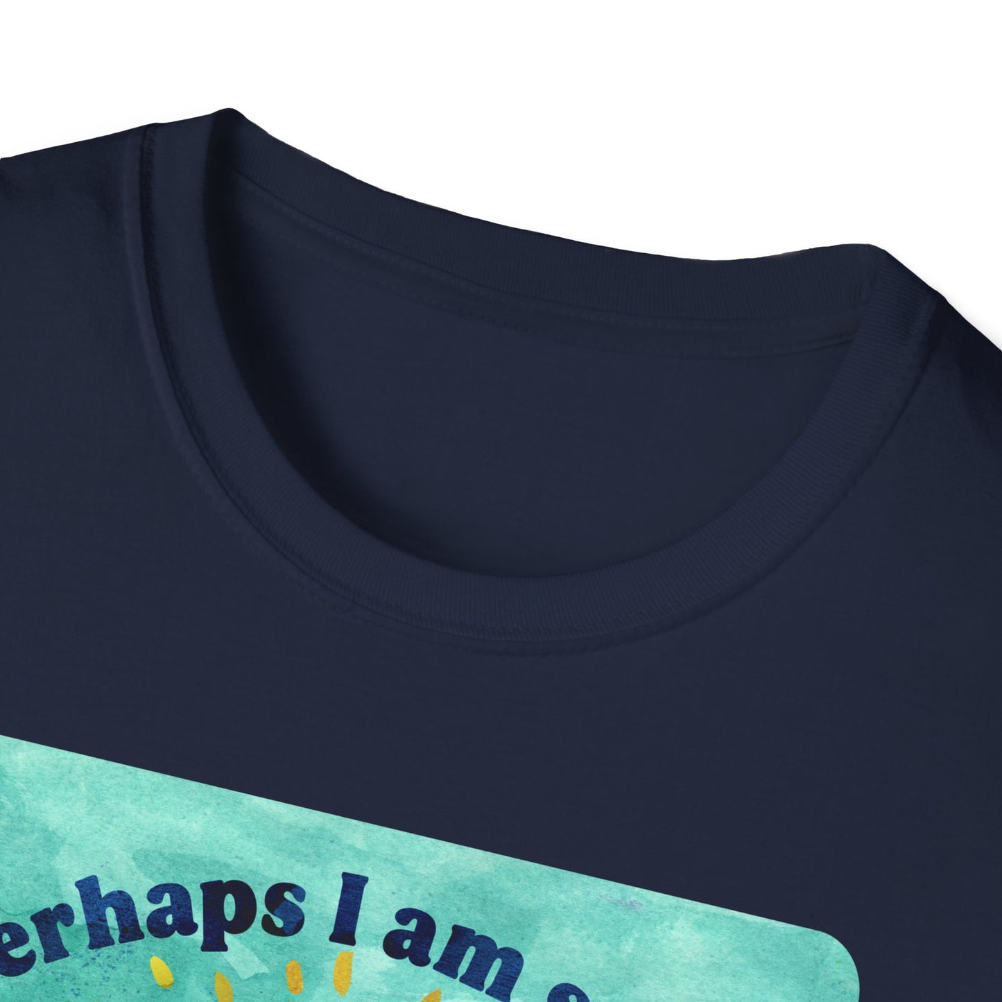 Perhaps I am small, But I am also mighty & resilient: feminist shirt