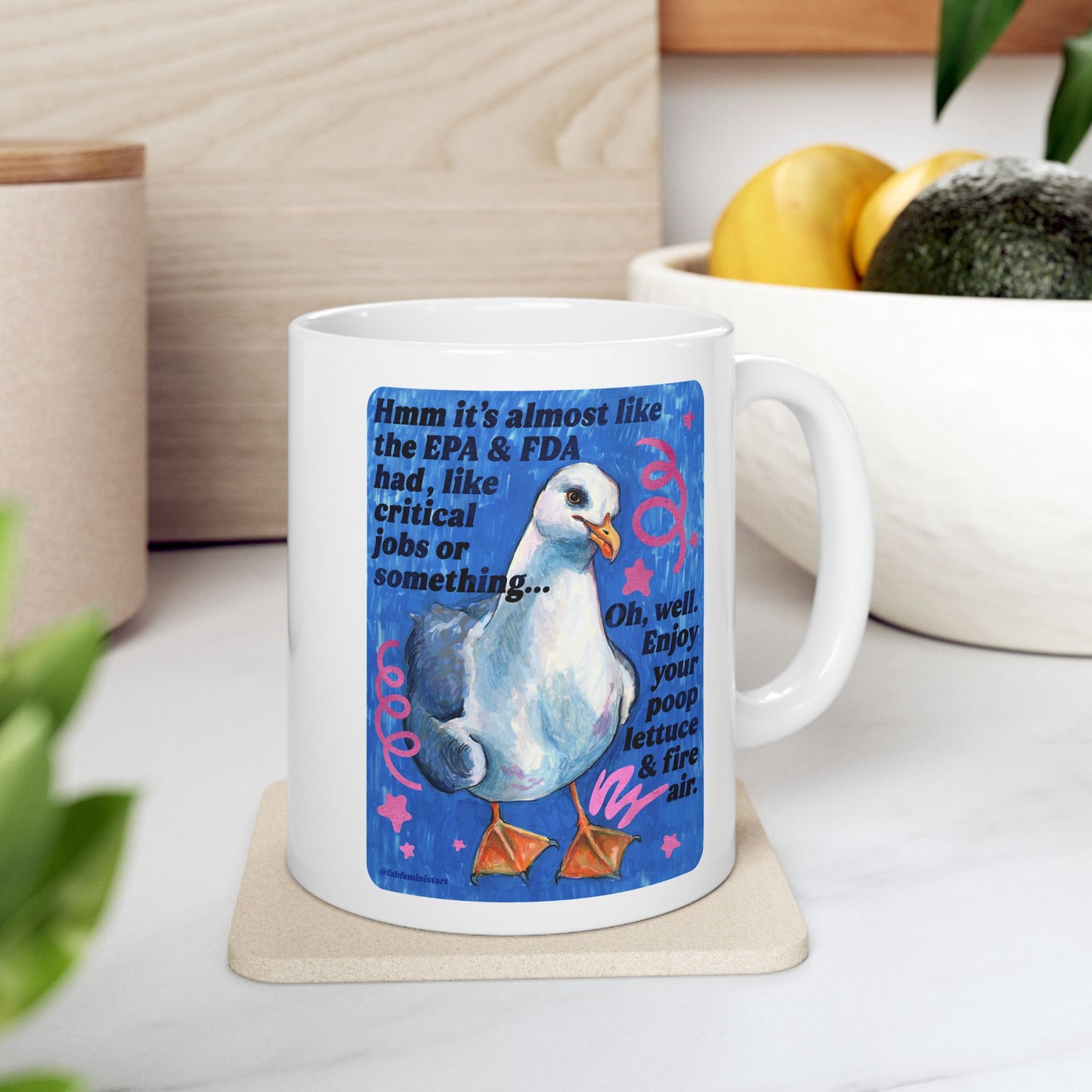 Hmm it's almost like the EPA & FDA had, like, critical jobs or something: feminist mug