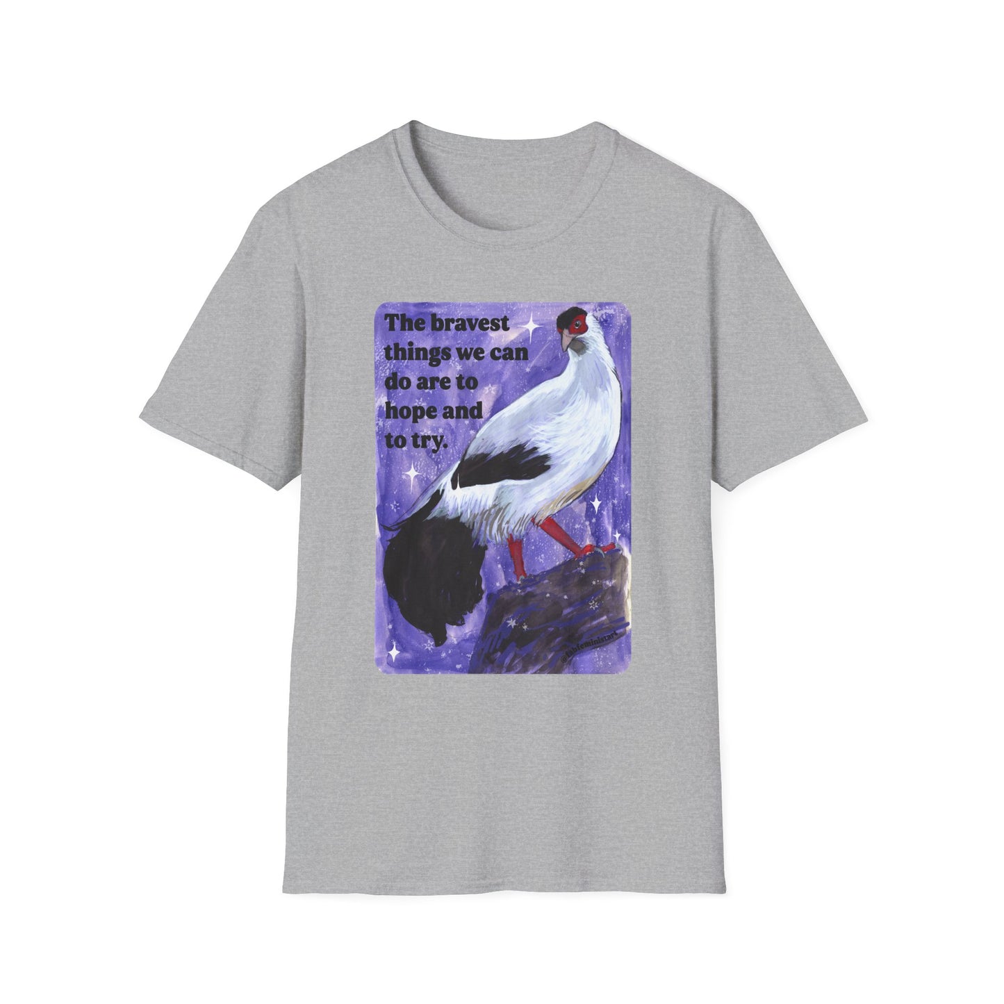 The bravest things we can do are to hope and to try: feminist shirt