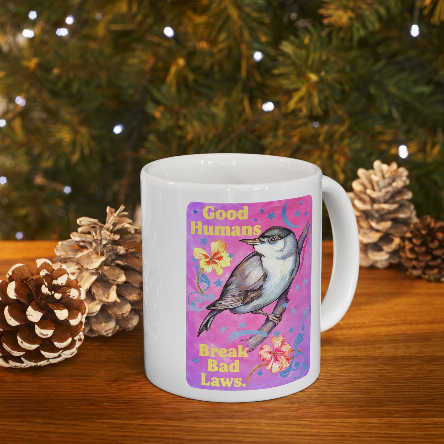 Good Humans Break Bad Laws: Feminist Mug