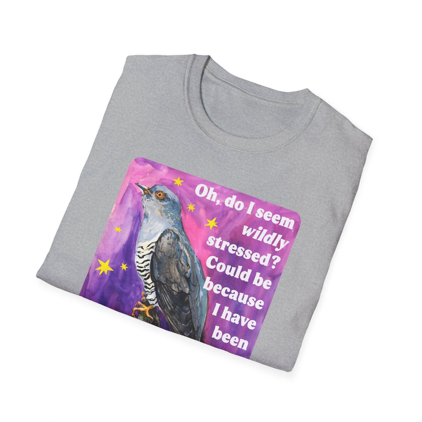 Oh, do I seem wildly stressed? Could be because I have been paying attention: feminist shirt
