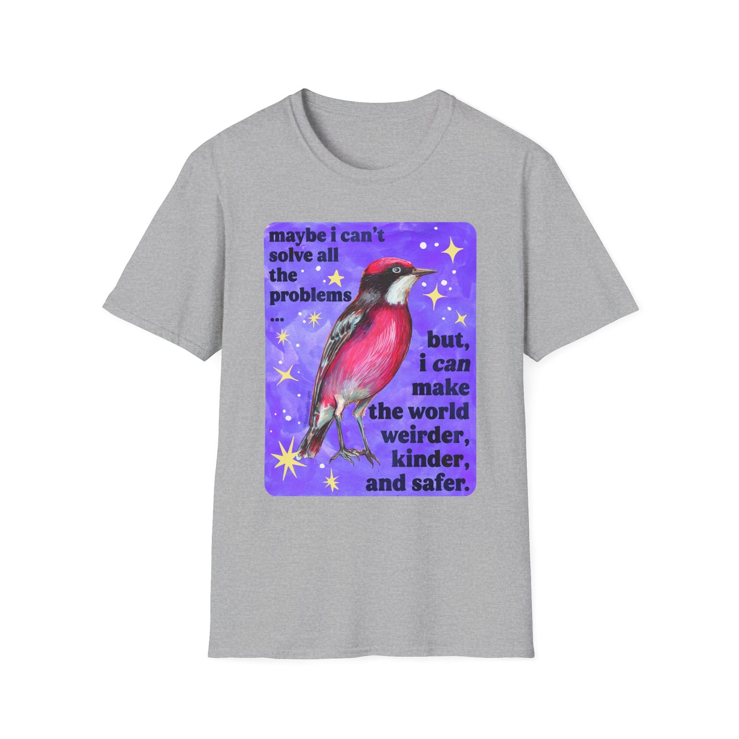 Maybe I Can't Solve All The Problems but I can make the world weirder kinder and safer: feminist shirt