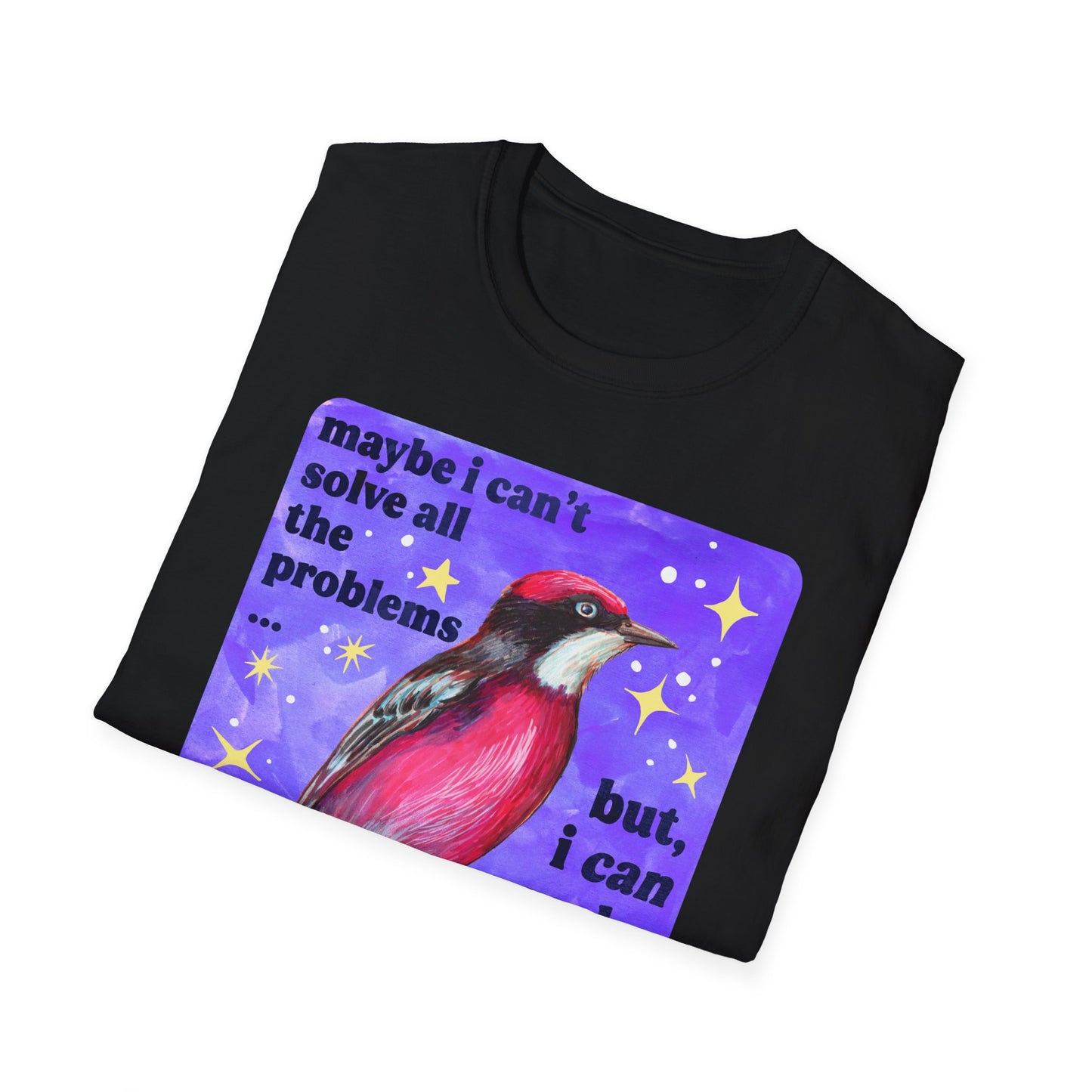 Maybe I Can't Solve All The Problems but I can make the world weirder kinder and safer: feminist shirt
