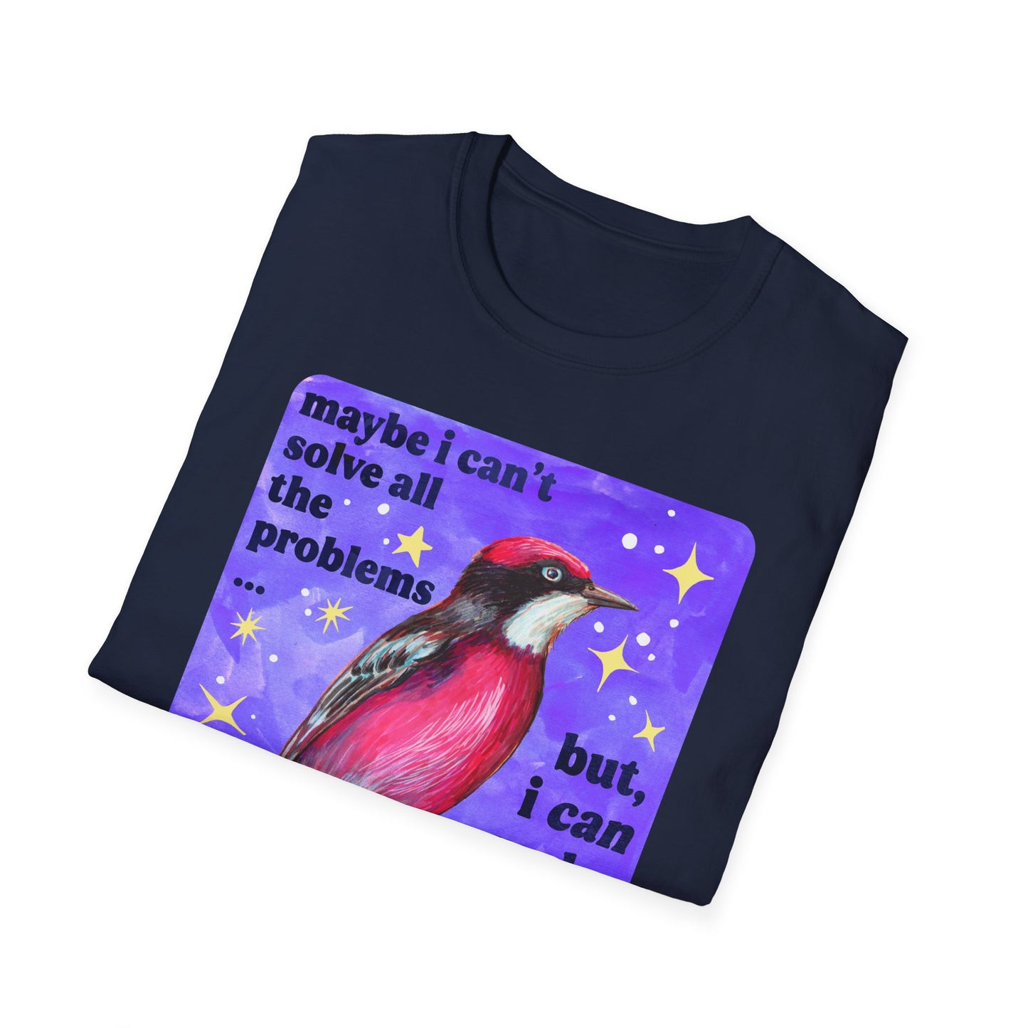 Maybe I Can't Solve All The Problems but I can make the world weirder kinder and safer: feminist shirt