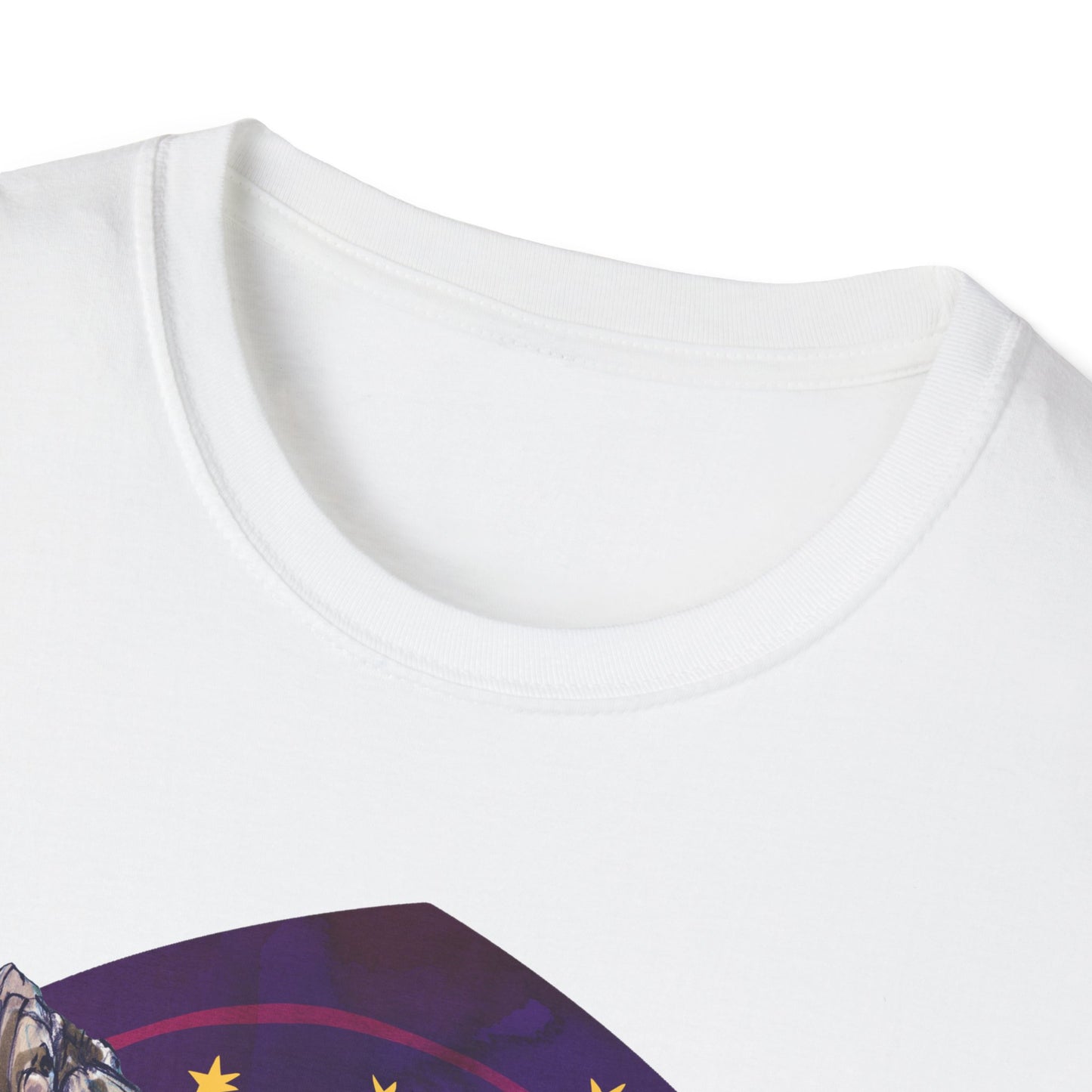 Feminist Socialist Antifascist Weirdo: feminist shirt