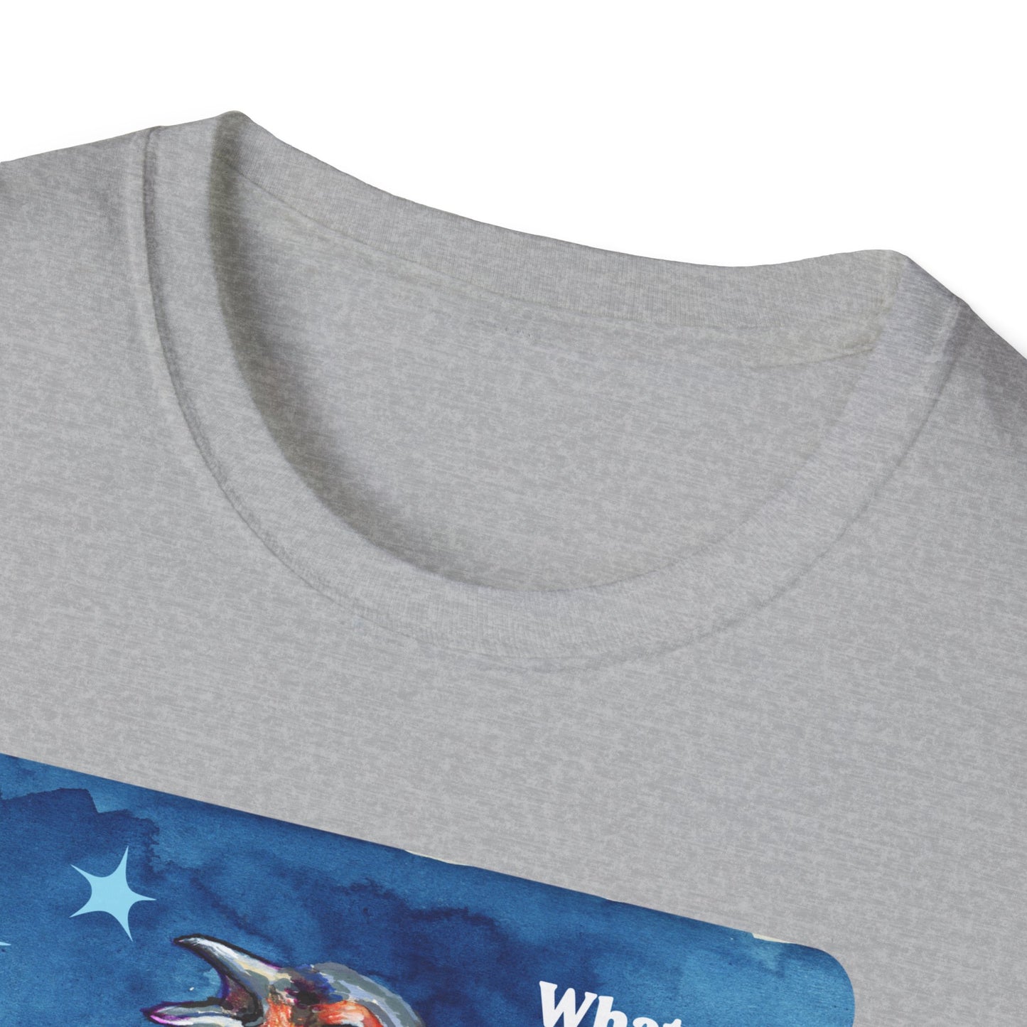 Whatever you allow your government to do to others, they will eventually do to you: feminist shirt
