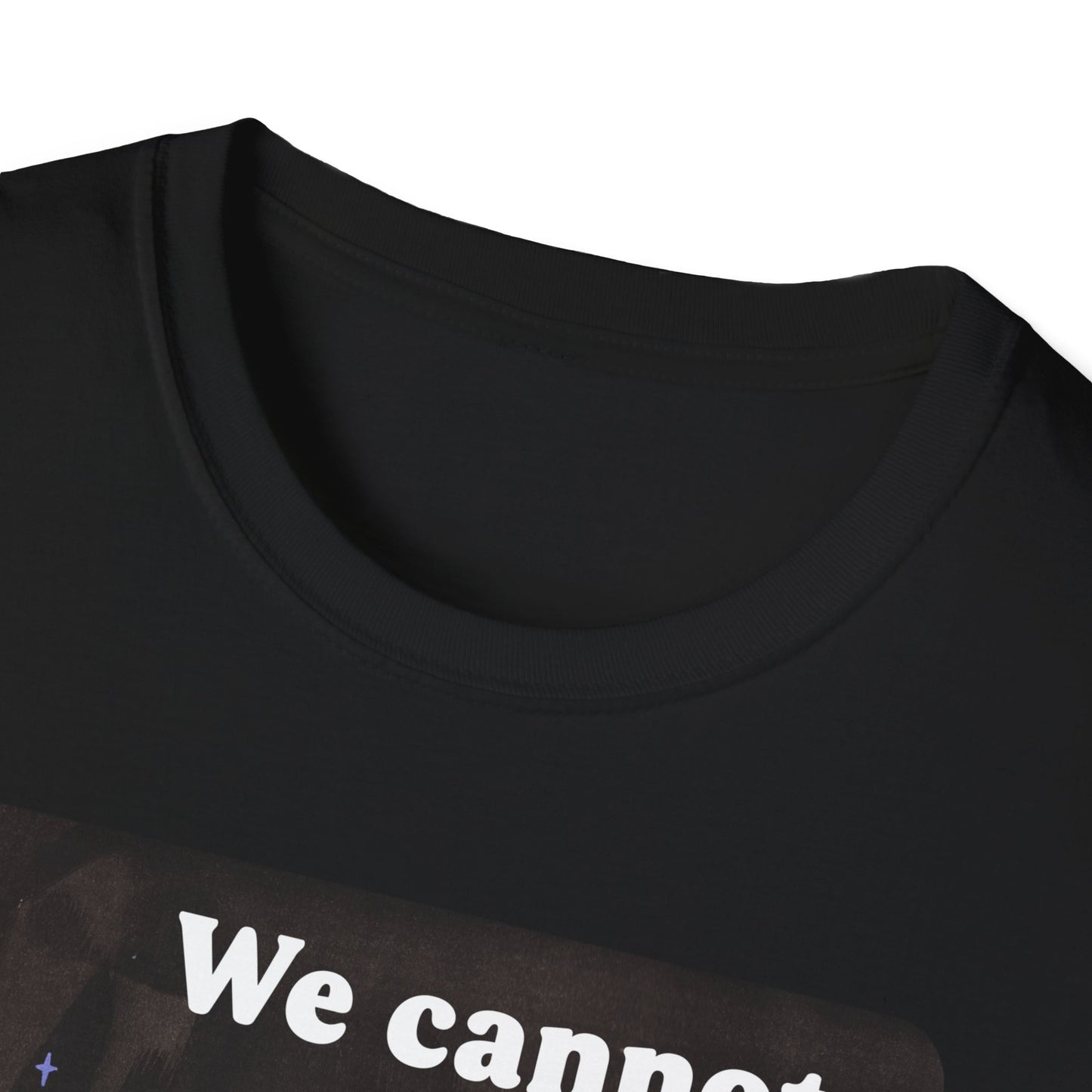 We cannot comply our way out of fascism: feminist shirt
