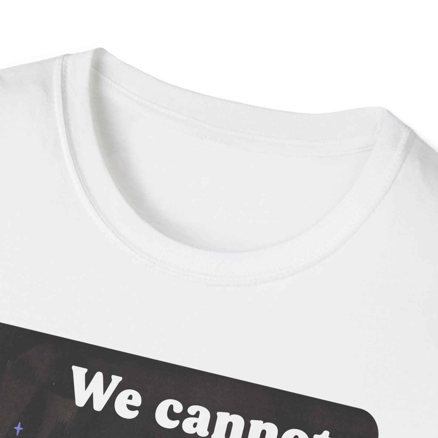 We cannot comply our way out of fascism: feminist shirt