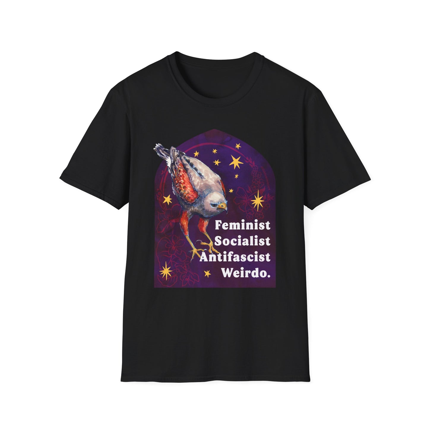Feminist Socialist Antifascist Weirdo: feminist shirt