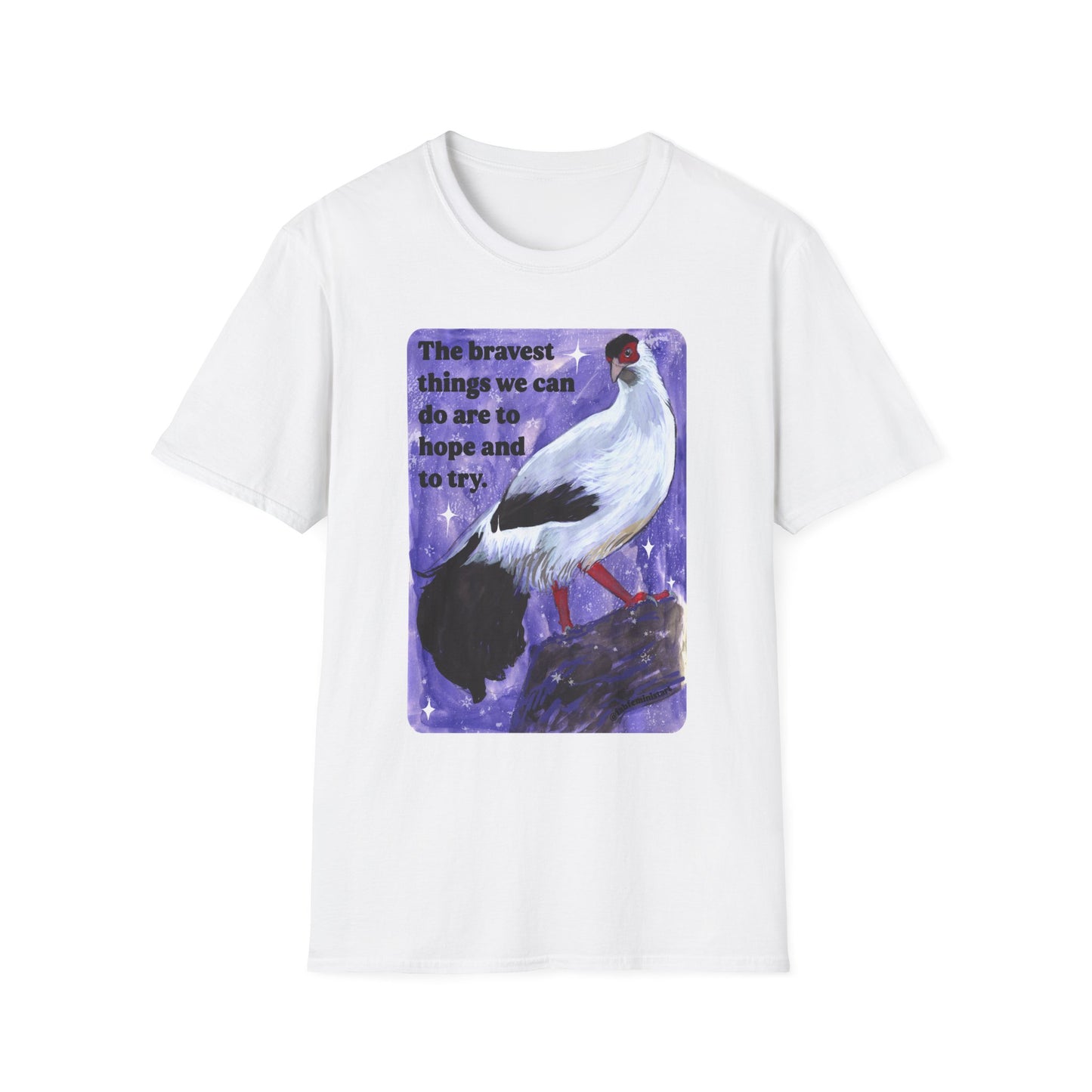 The bravest things we can do are to hope and to try: feminist shirt