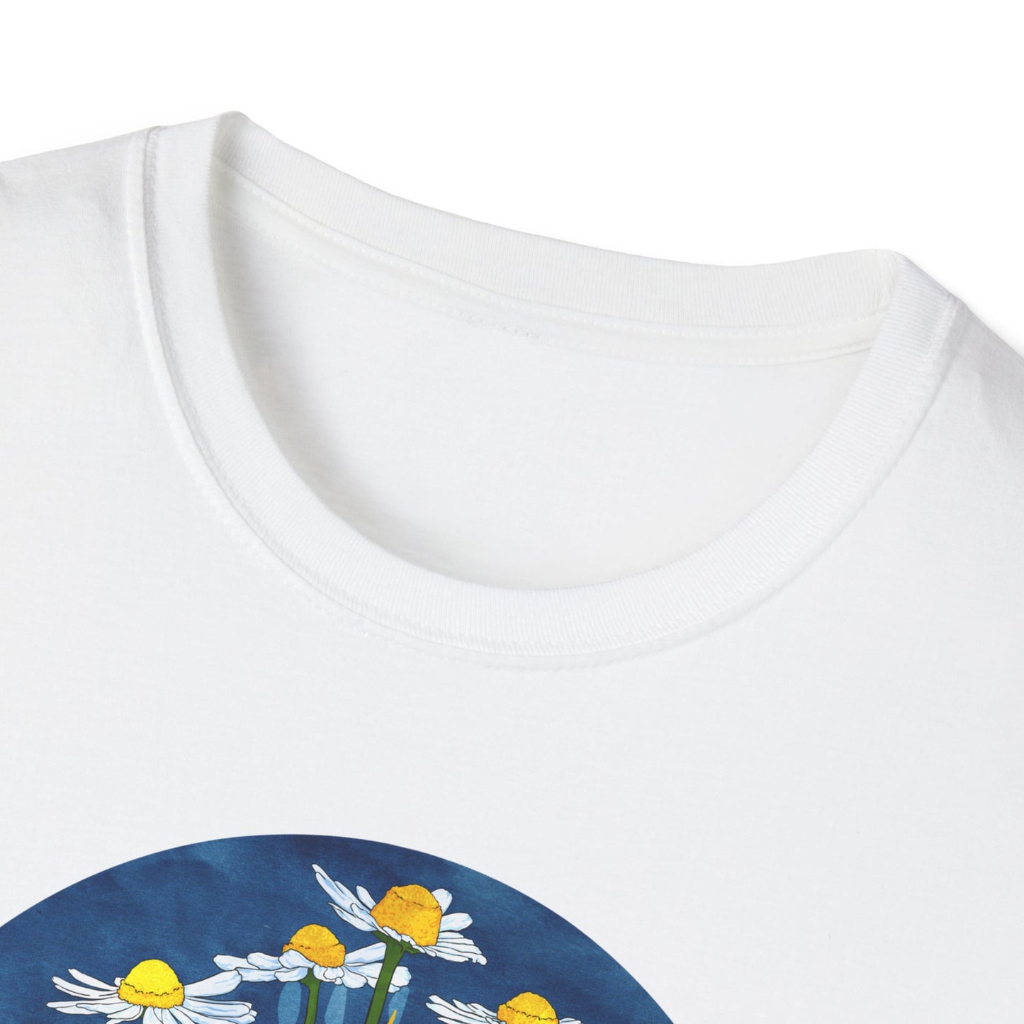 Surely the earth can be saved by all the people who insist on love, Alice Walker: feminist shirt