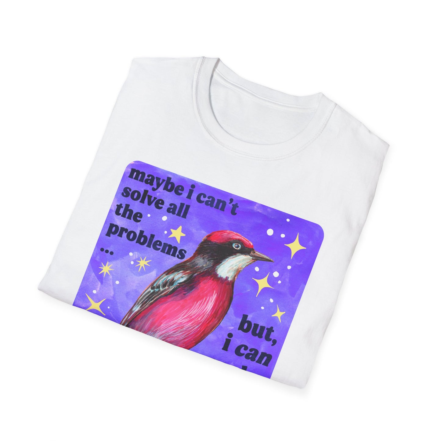 Maybe I Can't Solve All The Problems but I can make the world weirder kinder and safer: feminist shirt