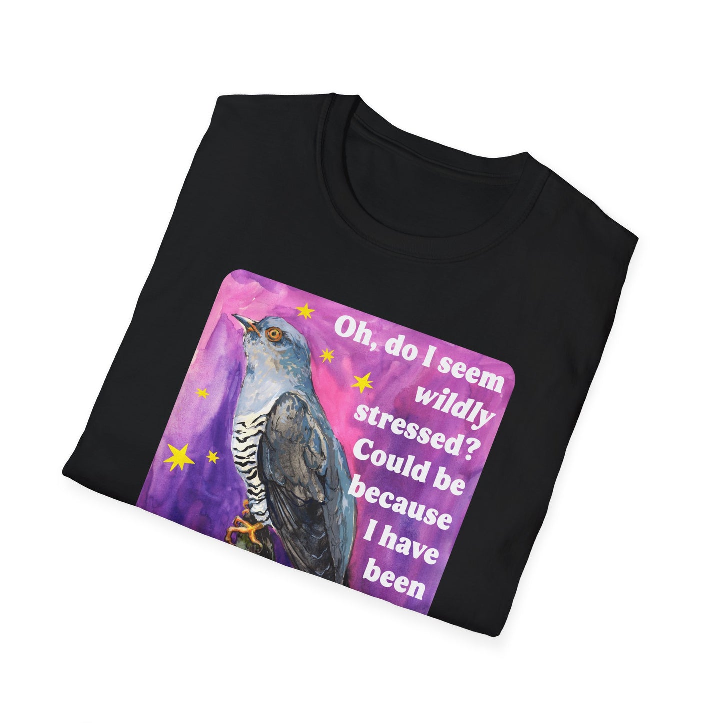 Oh, do I seem wildly stressed? Could be because I have been paying attention: feminist shirt