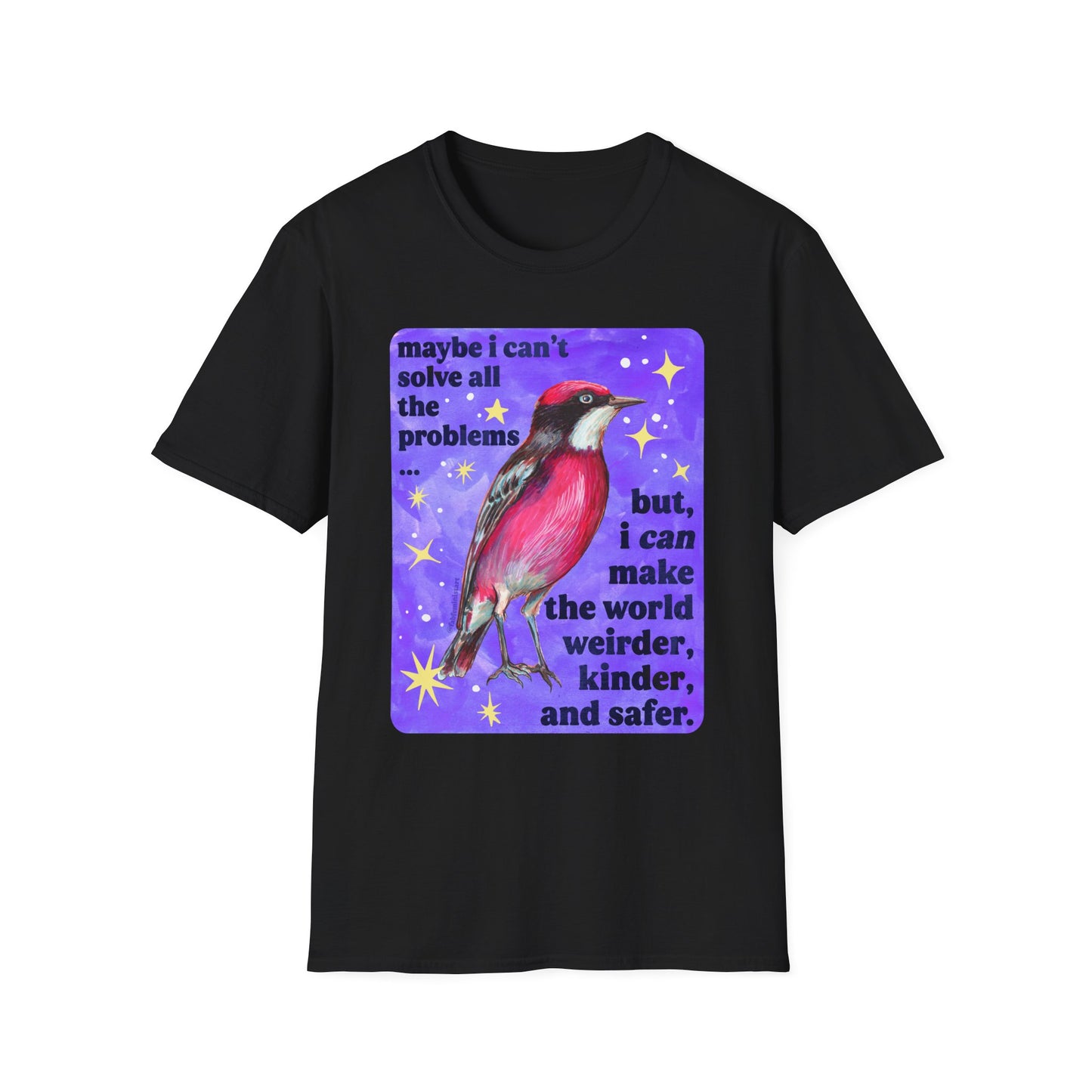 Maybe I Can't Solve All The Problems but I can make the world weirder kinder and safer: feminist shirt