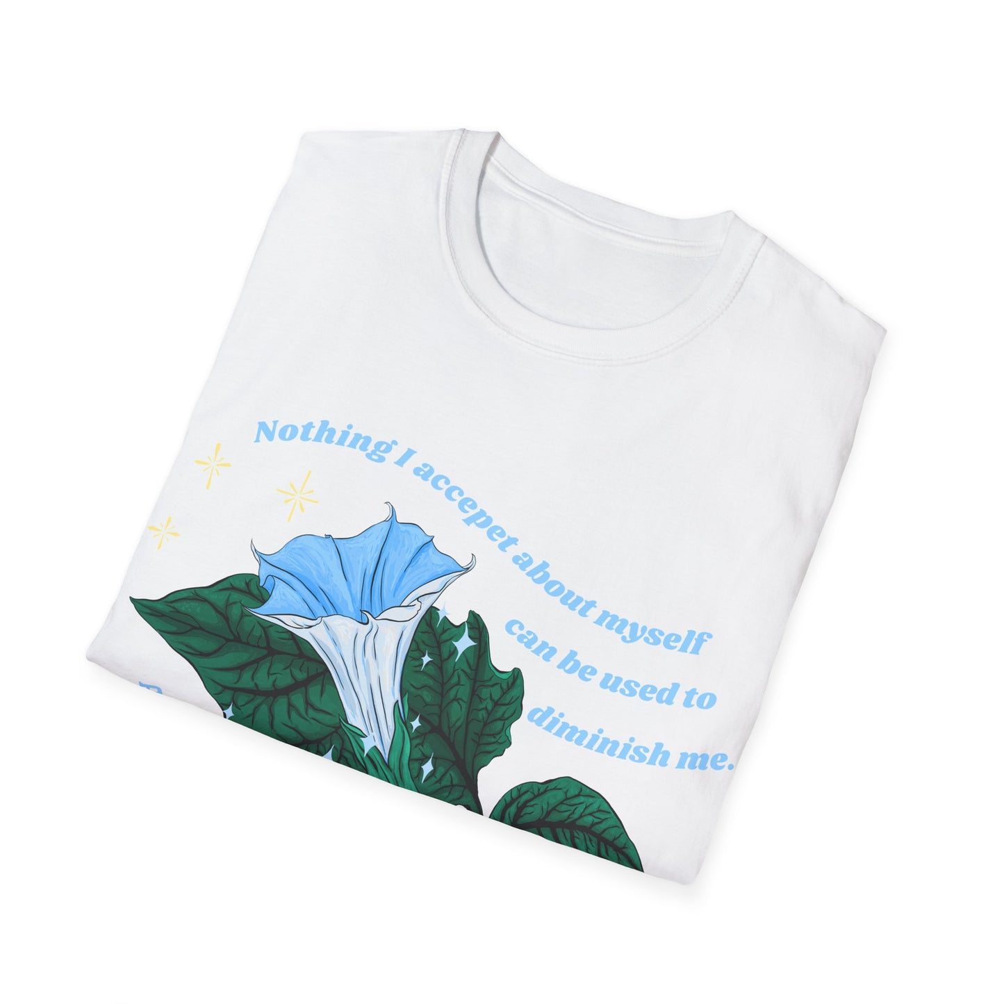 Nothing I accept about myself can be used to diminish me, Audre Lorde: Feminist Shirt