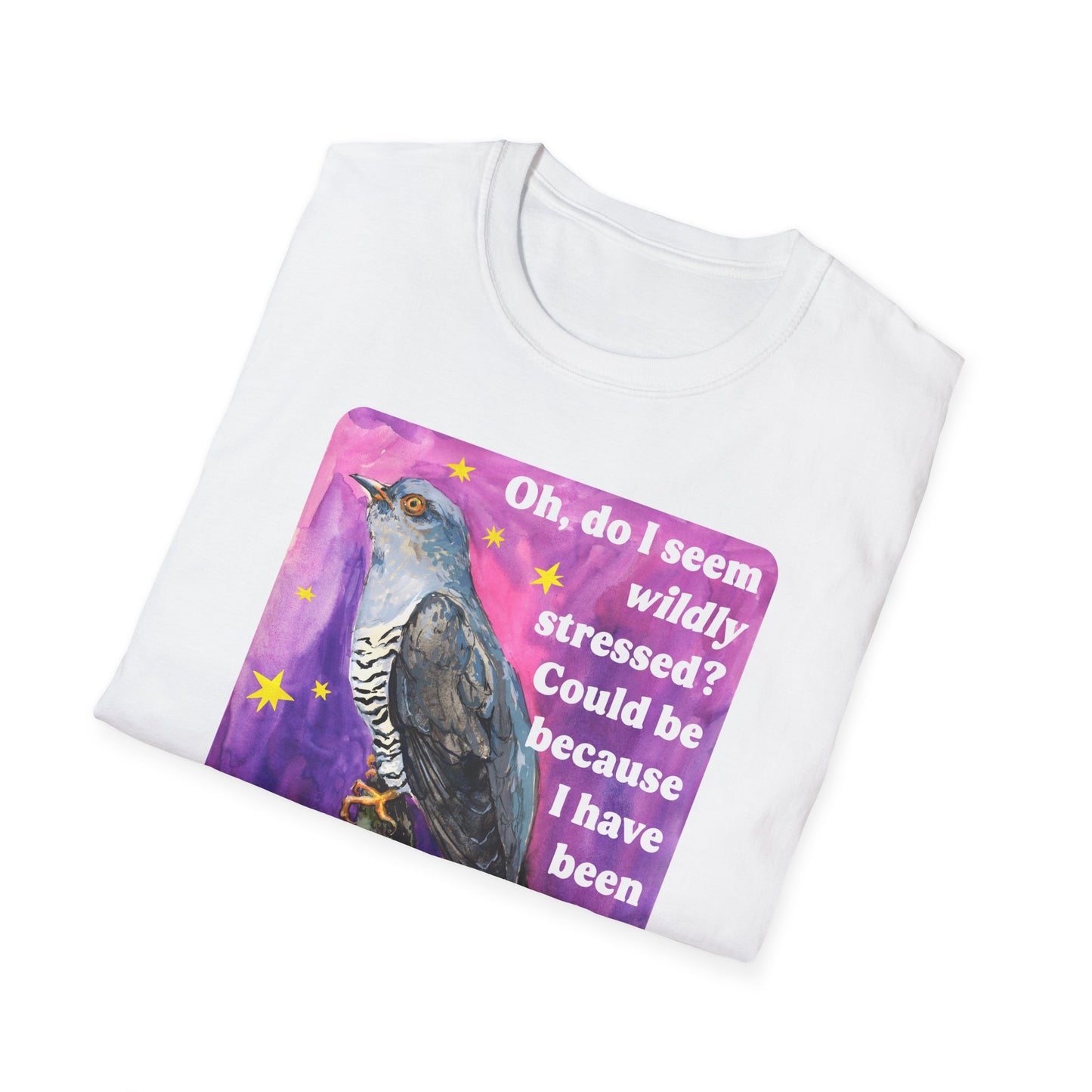 Oh, do I seem wildly stressed? Could be because I have been paying attention: feminist shirt