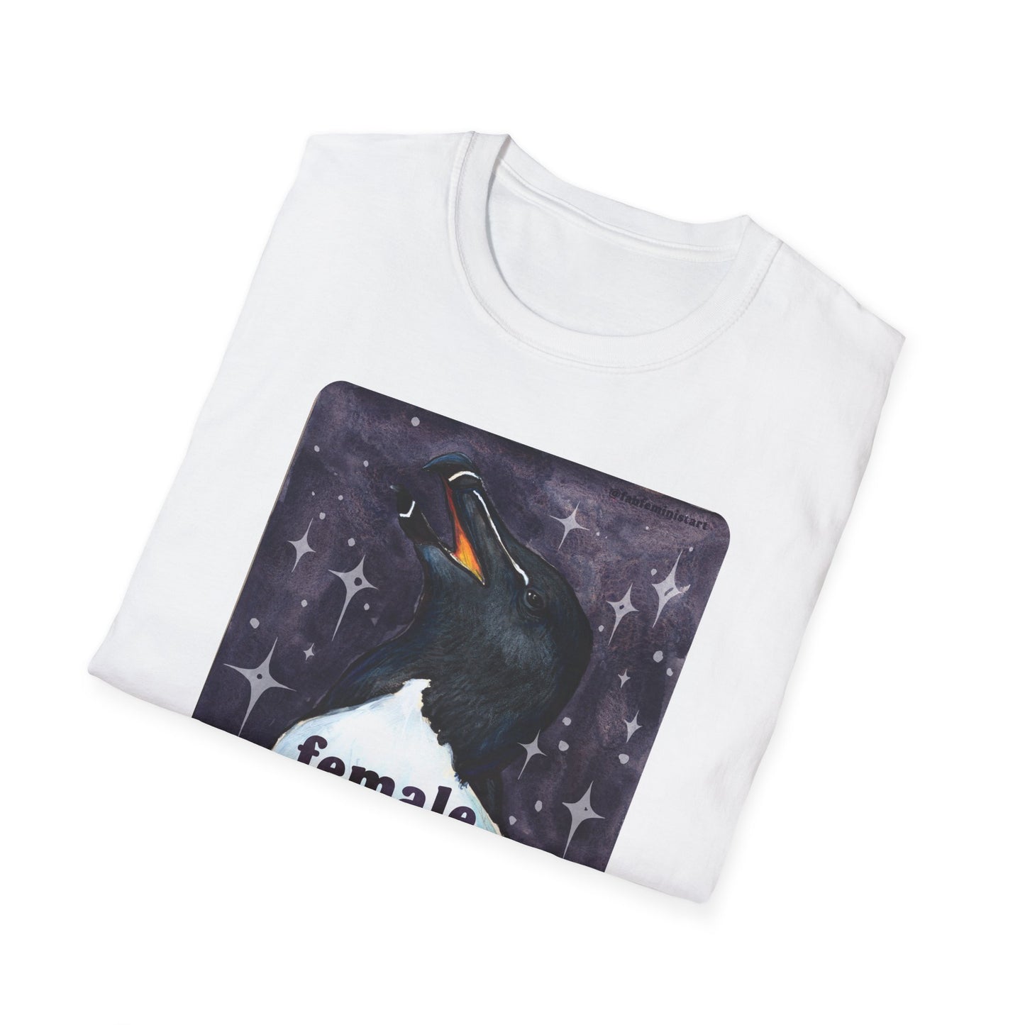 Female of a certain rage: feminist shirt