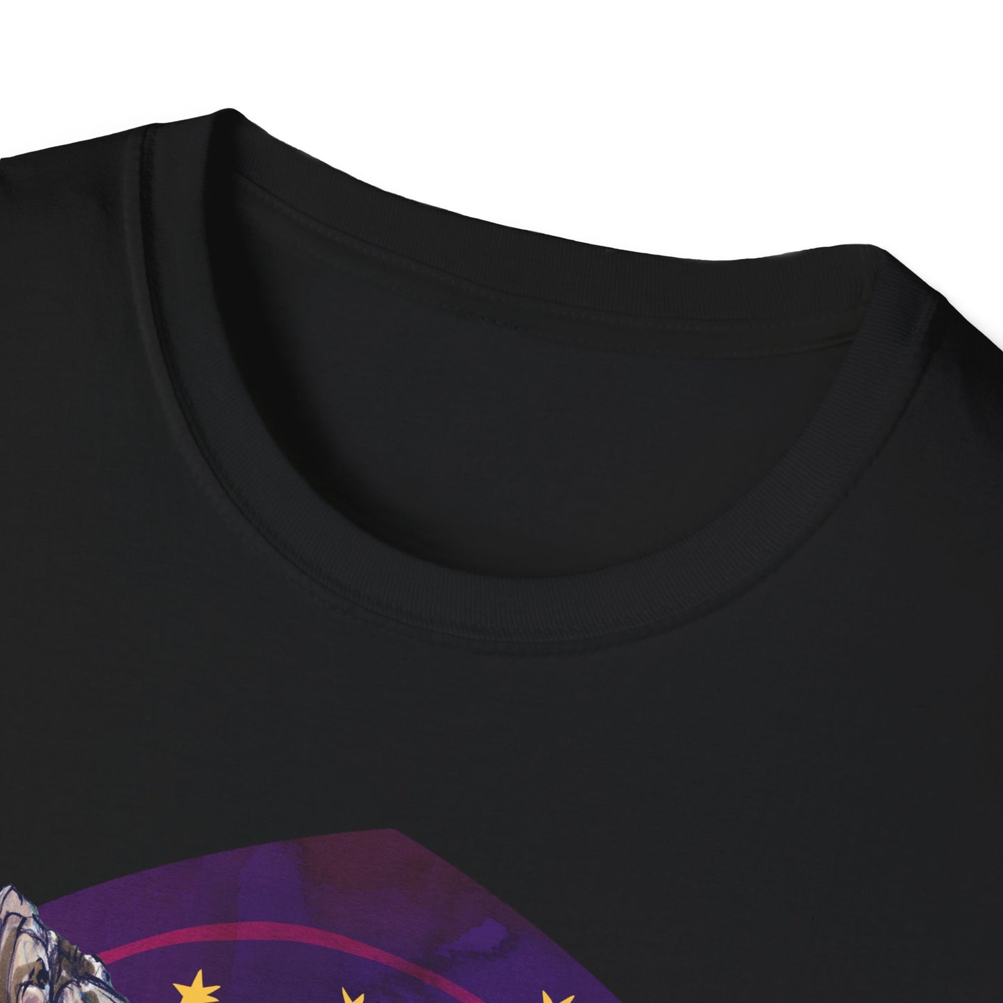 Feminist Socialist Antifascist Weirdo: feminist shirt