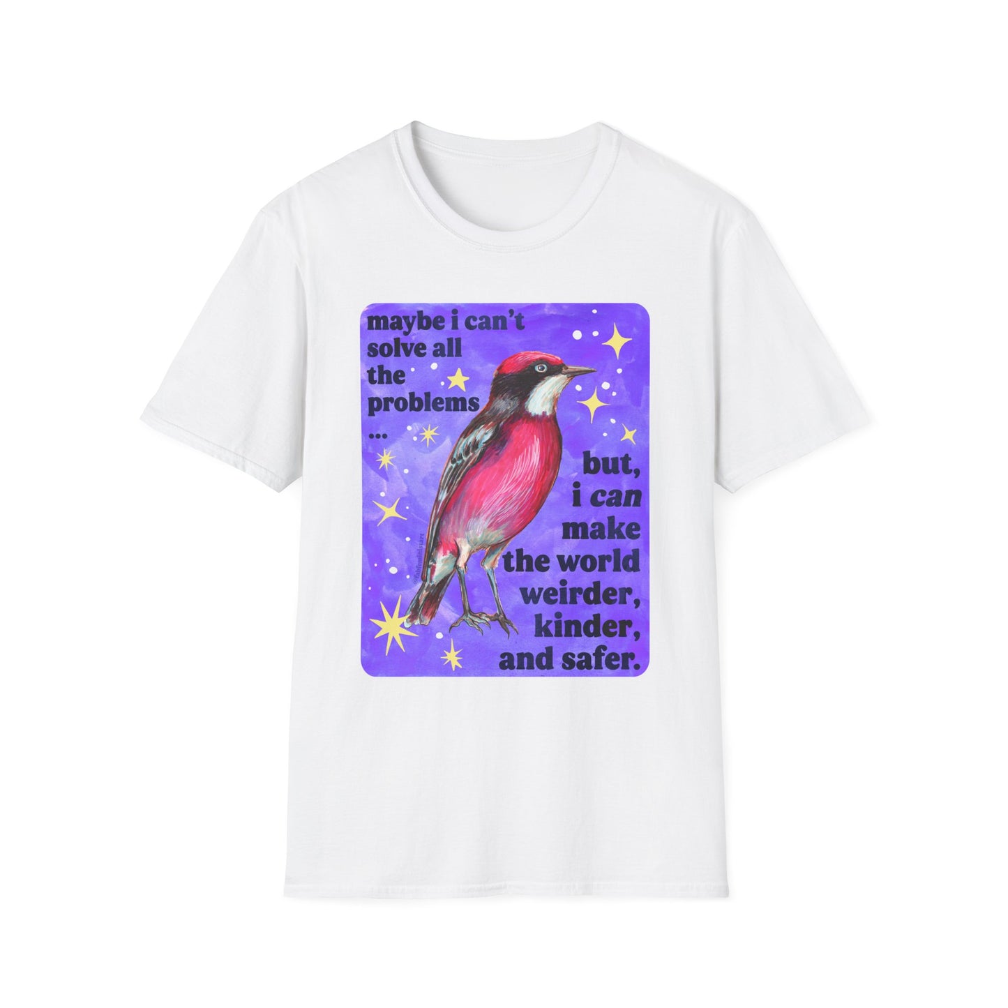 Maybe I Can't Solve All The Problems but I can make the world weirder kinder and safer: feminist shirt