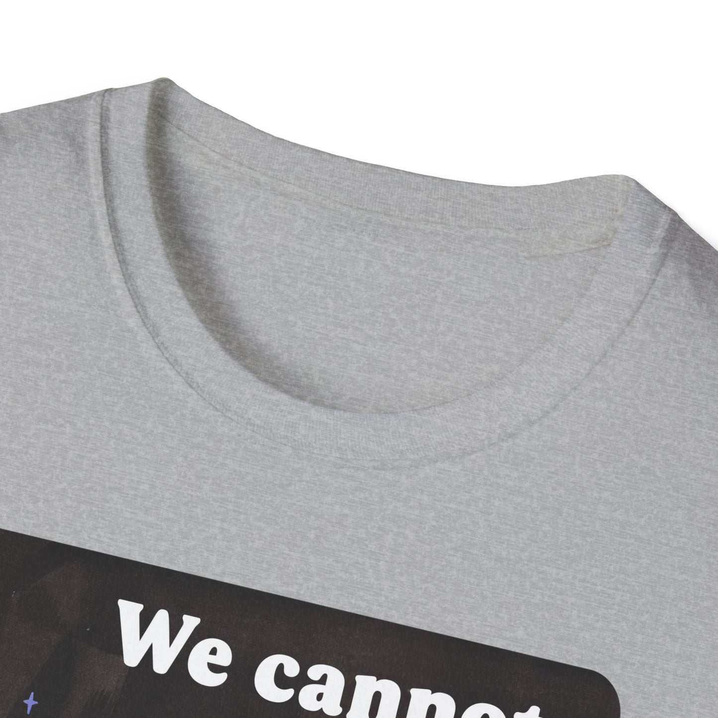 We cannot comply our way out of fascism: feminist shirt
