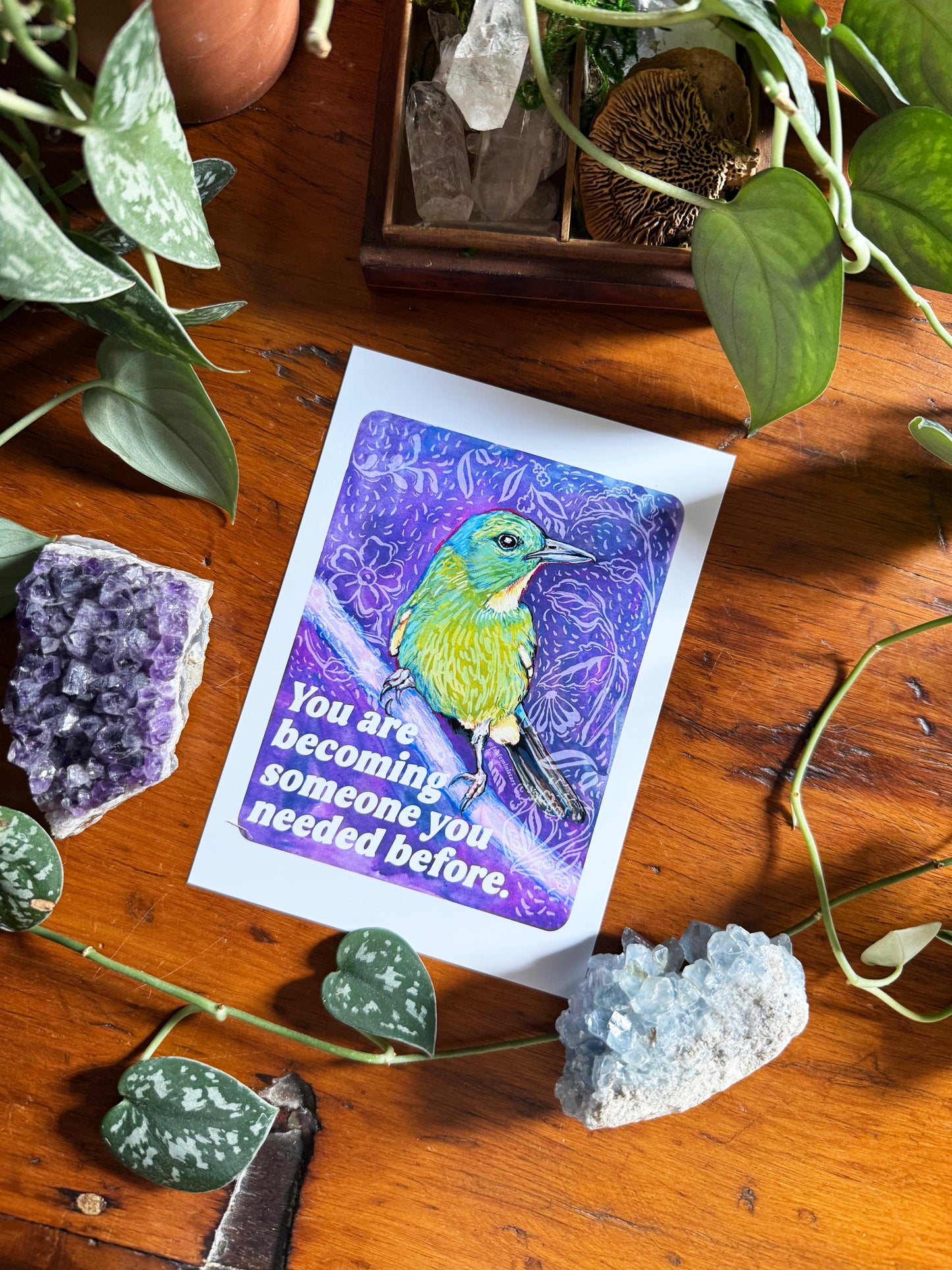 Emotional Birds Mail Club