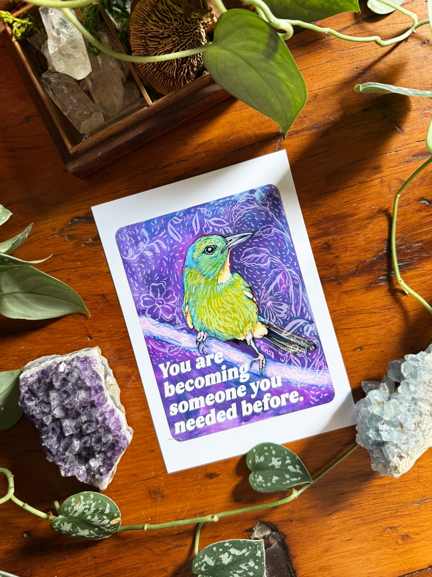 Emotional Birds Mail Club