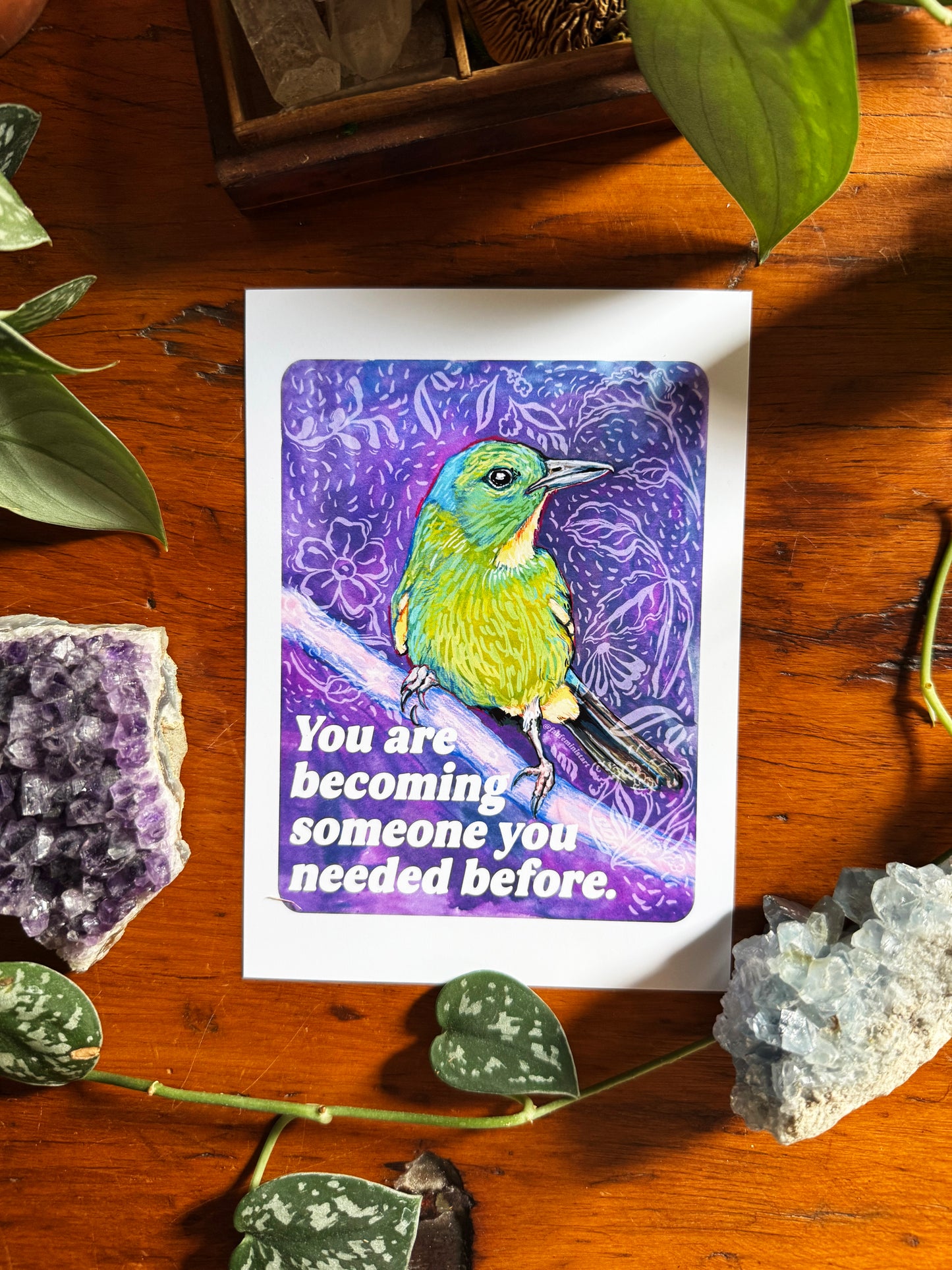 Emotional Birds Mail Club