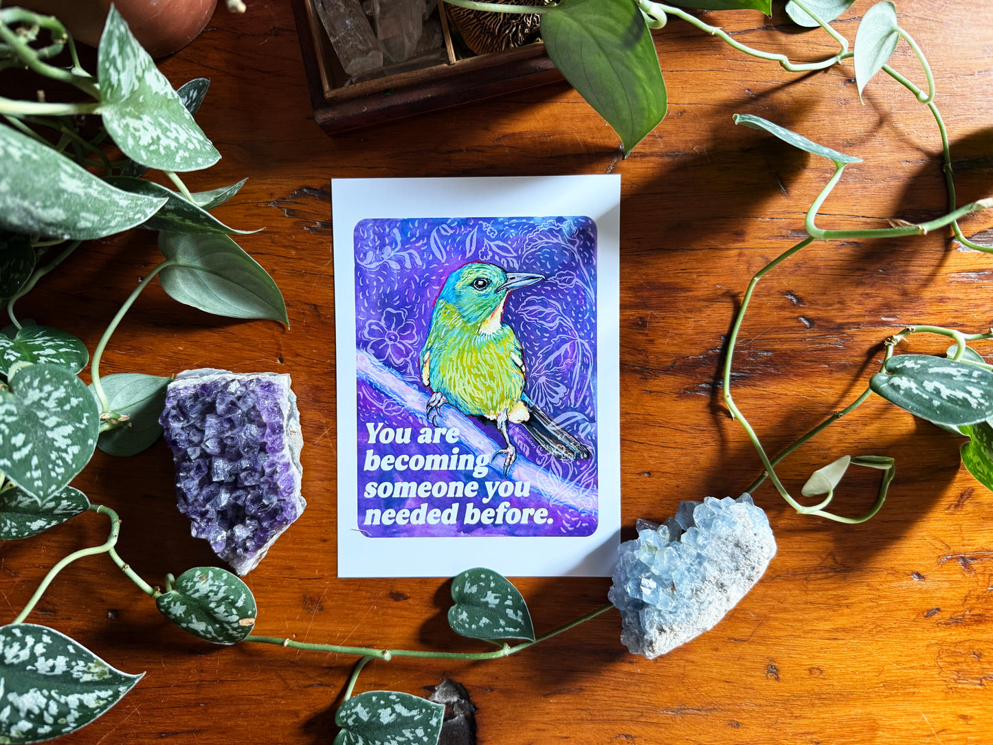 Emotional Birds Mail Club
