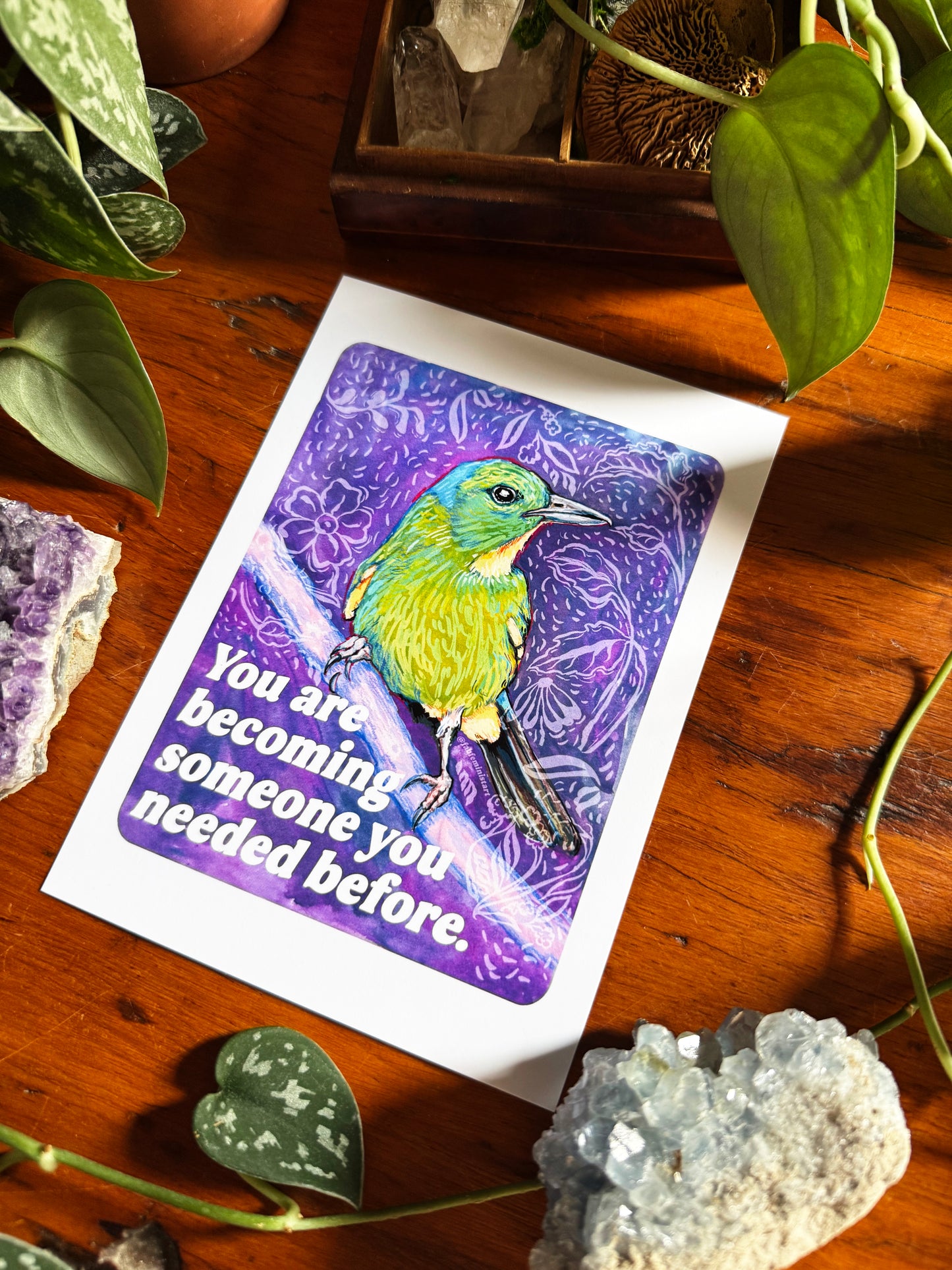 Emotional Birds Mail Club