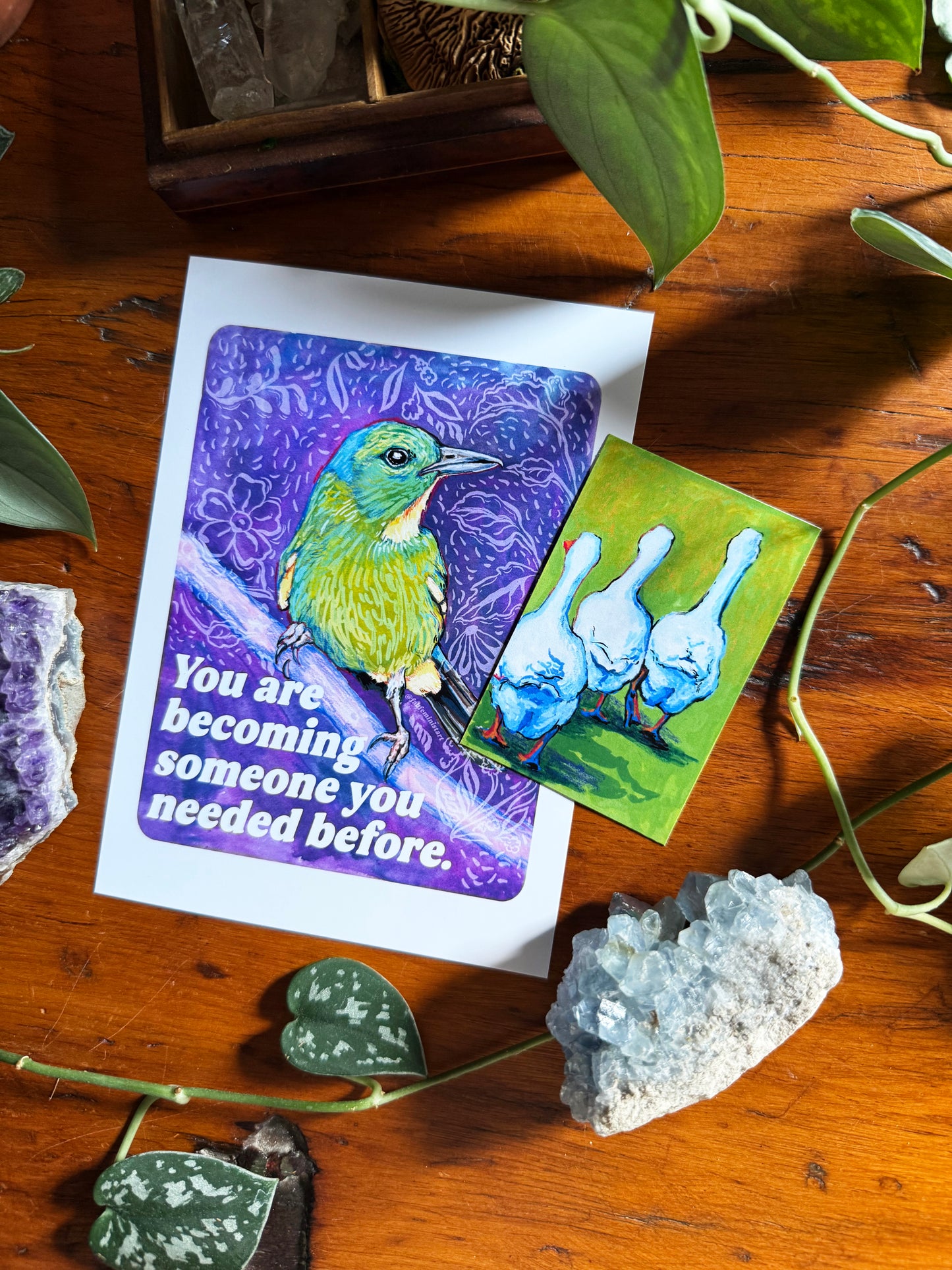 Emotional Birds Mail Club